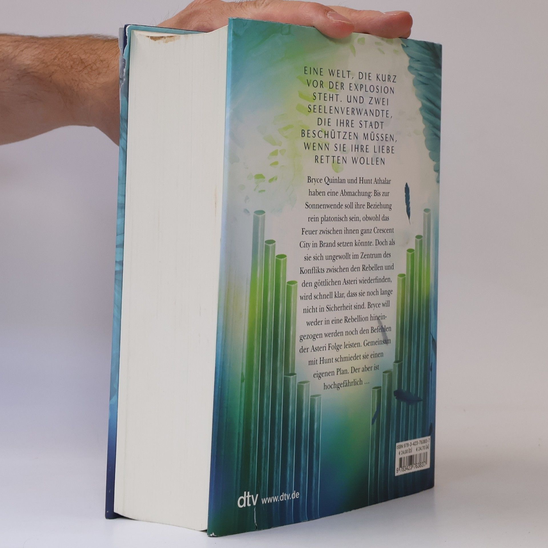 Sarah J. Maas Crescent City 2 - Wenn ein Stern erstrahlt