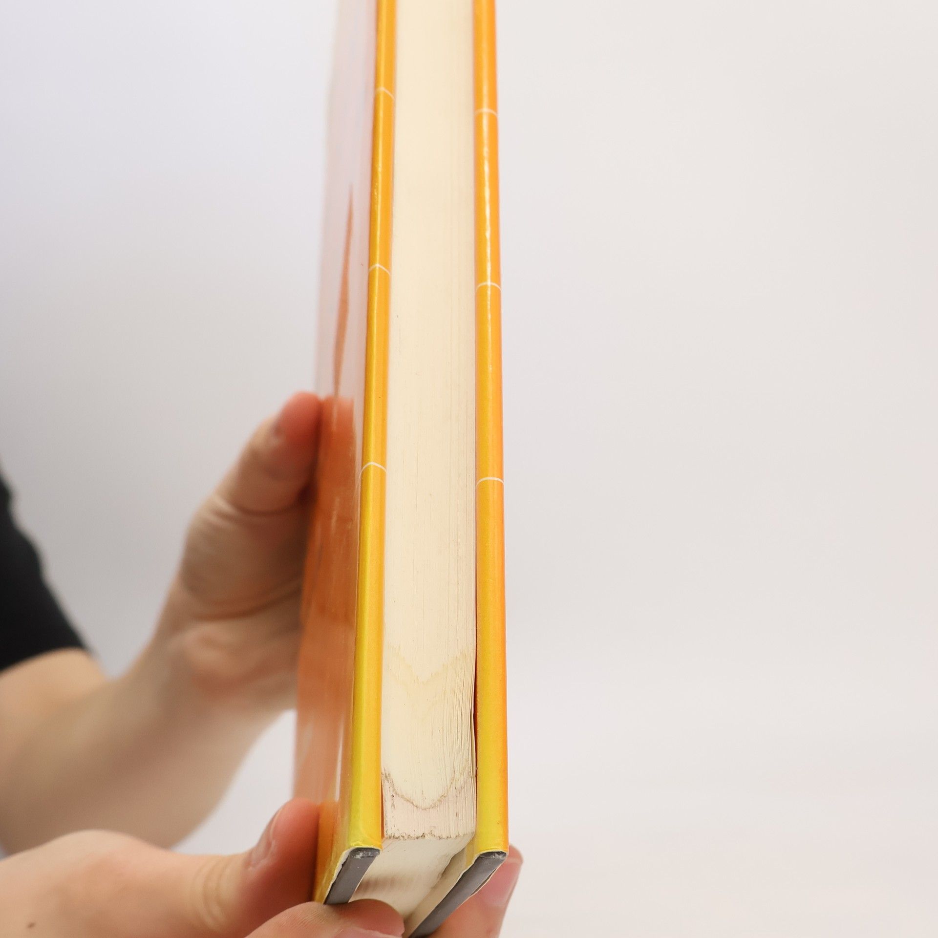 Shigeo Minowa Book Publishing in a Societal Context