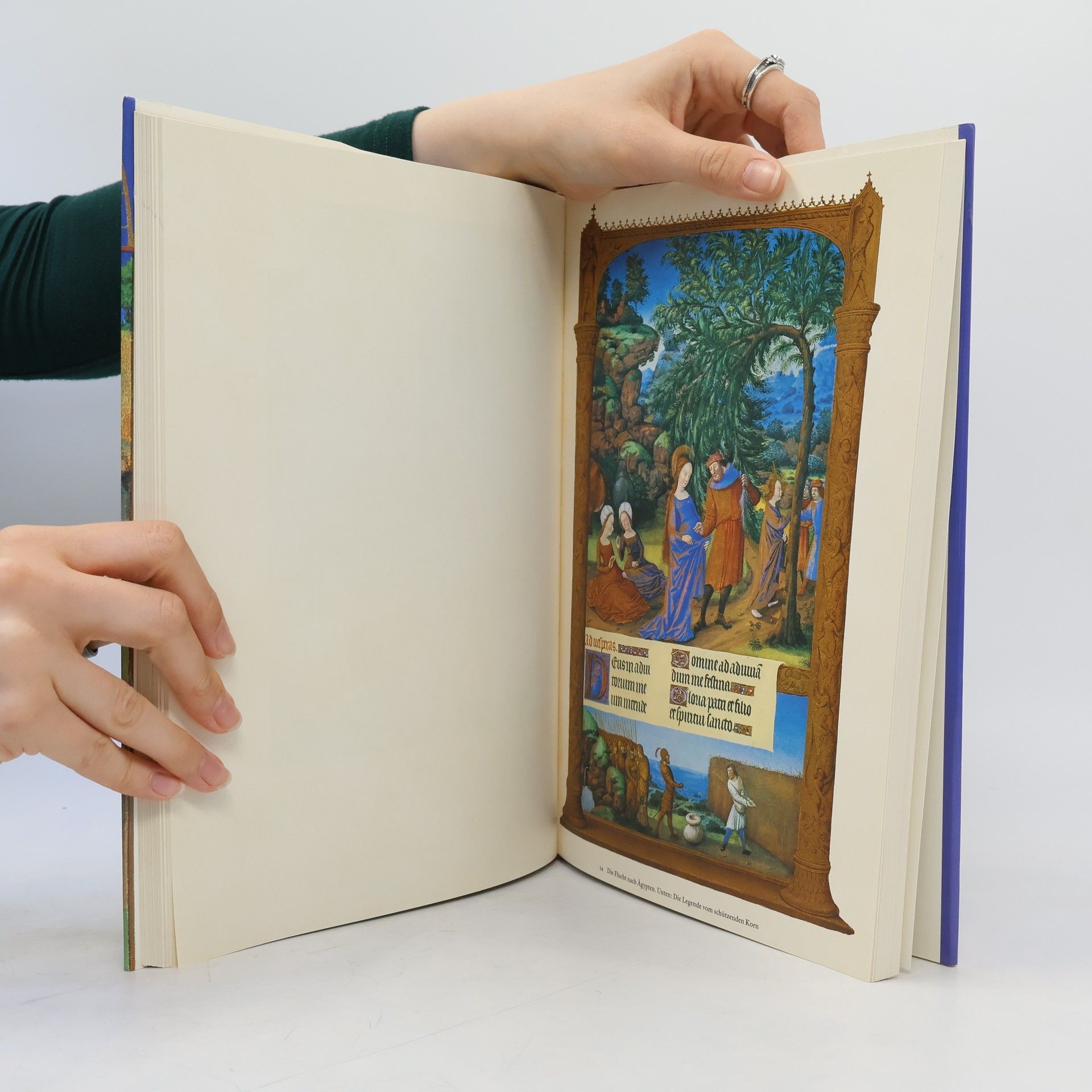 Jean Longnon Die Très riches heures des Jean Duc de Berry im Musée Condé Chantilly