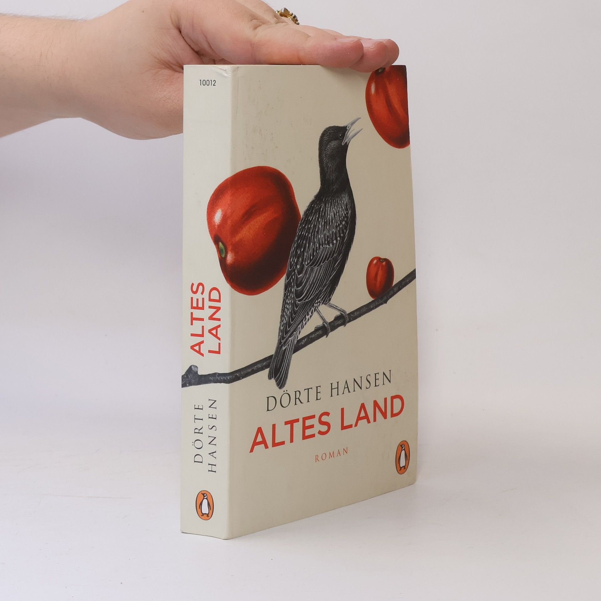 Dörte Hansen Altes Land