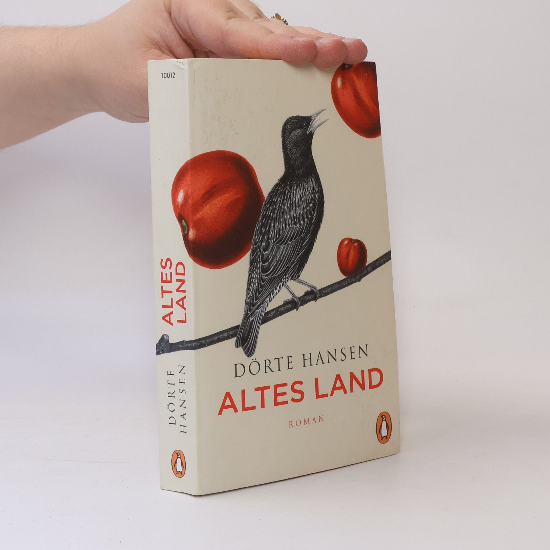 Dörte Hansen Altes Land