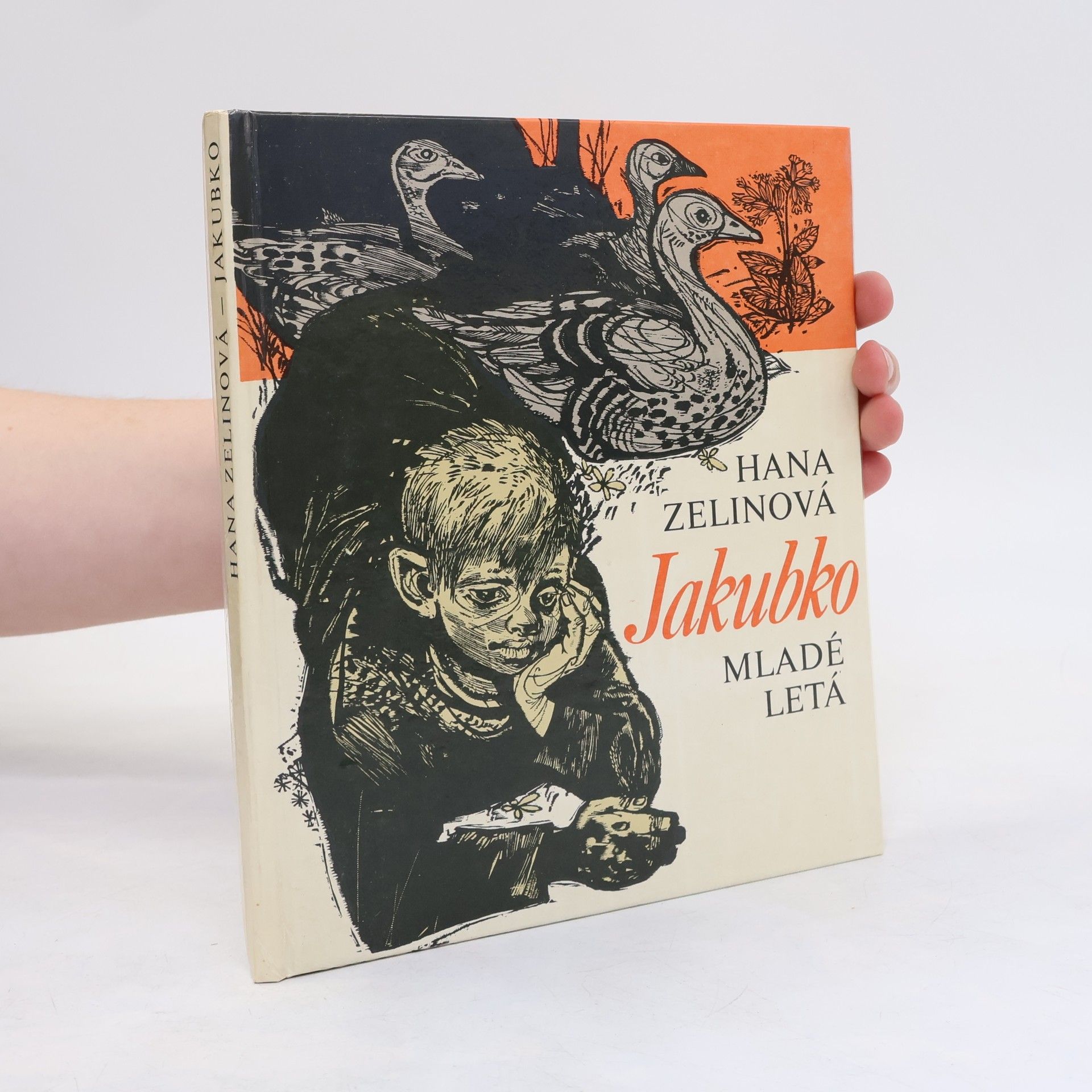 Hana Zelinová Jakubko