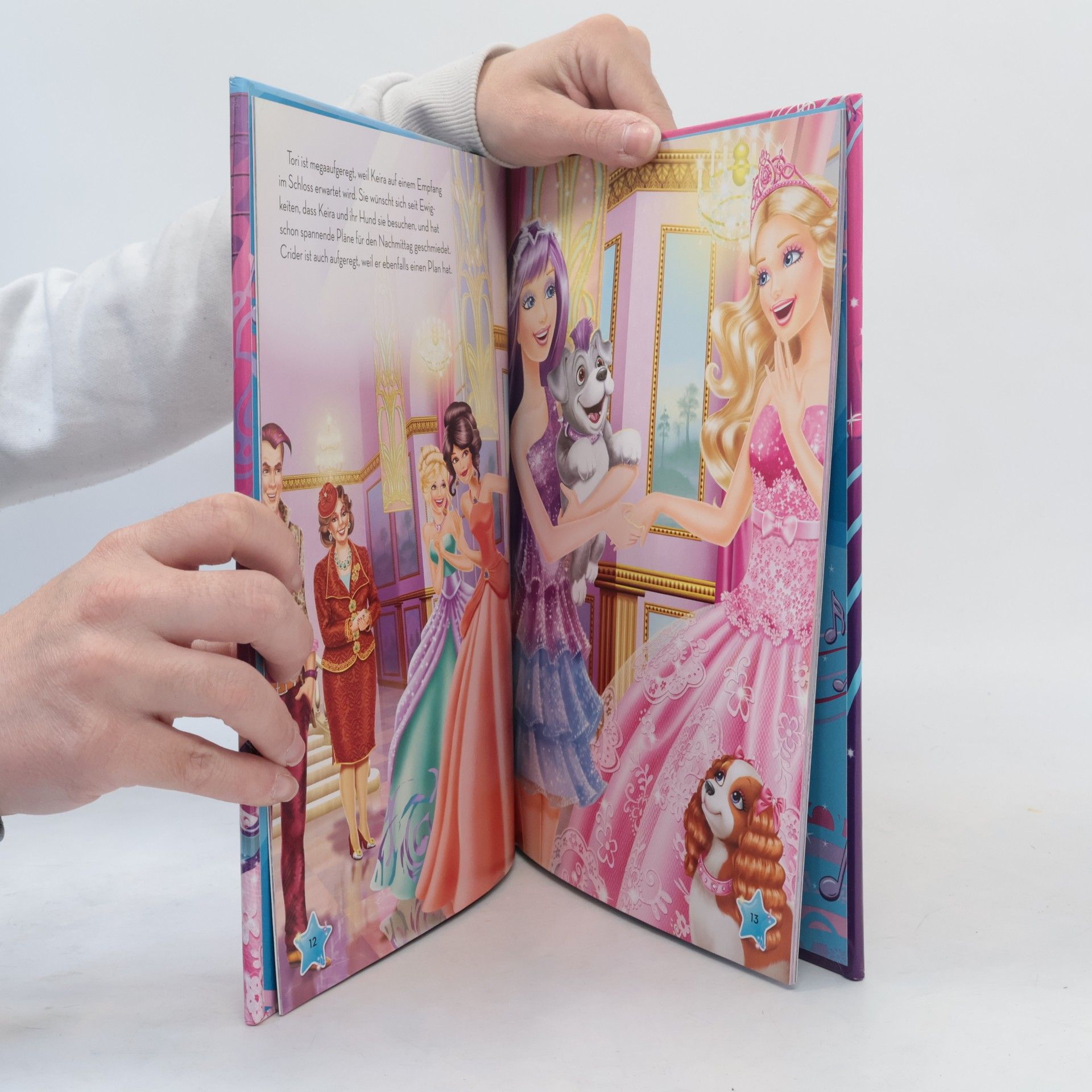 Barbie - die Prinzessin und der Popstar