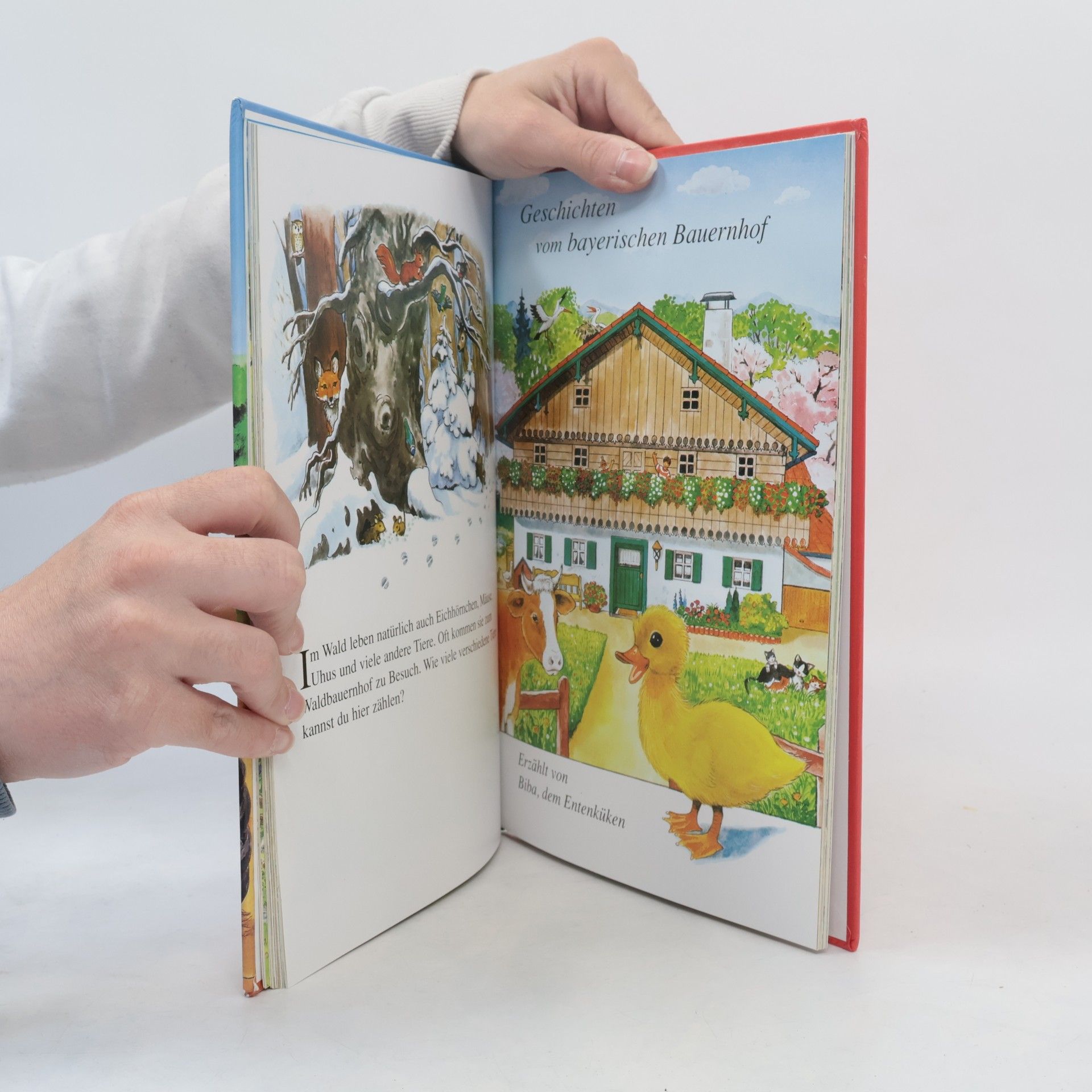 Ingrid Pabst Mein großes Buch vom Bauernhof