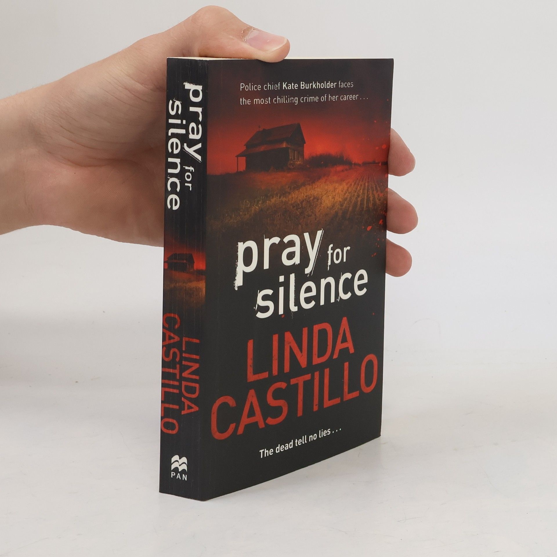 Linda Castillo Pray for Silence