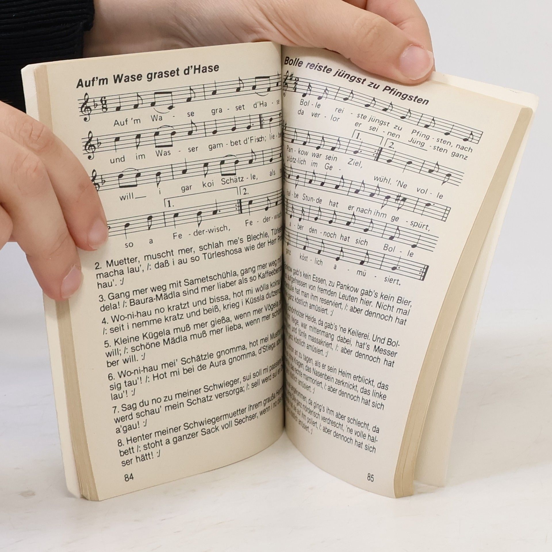 Kolektiv autorů Das Liederbuch mit Noten
