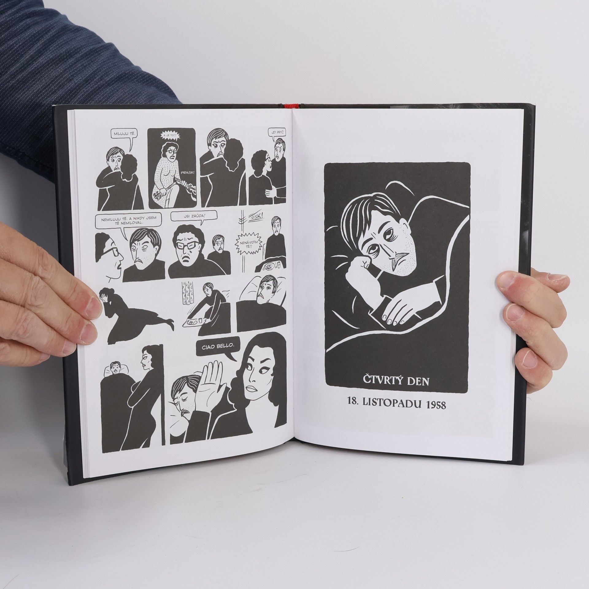 Marjane Satrapi Kuře na švestkách
