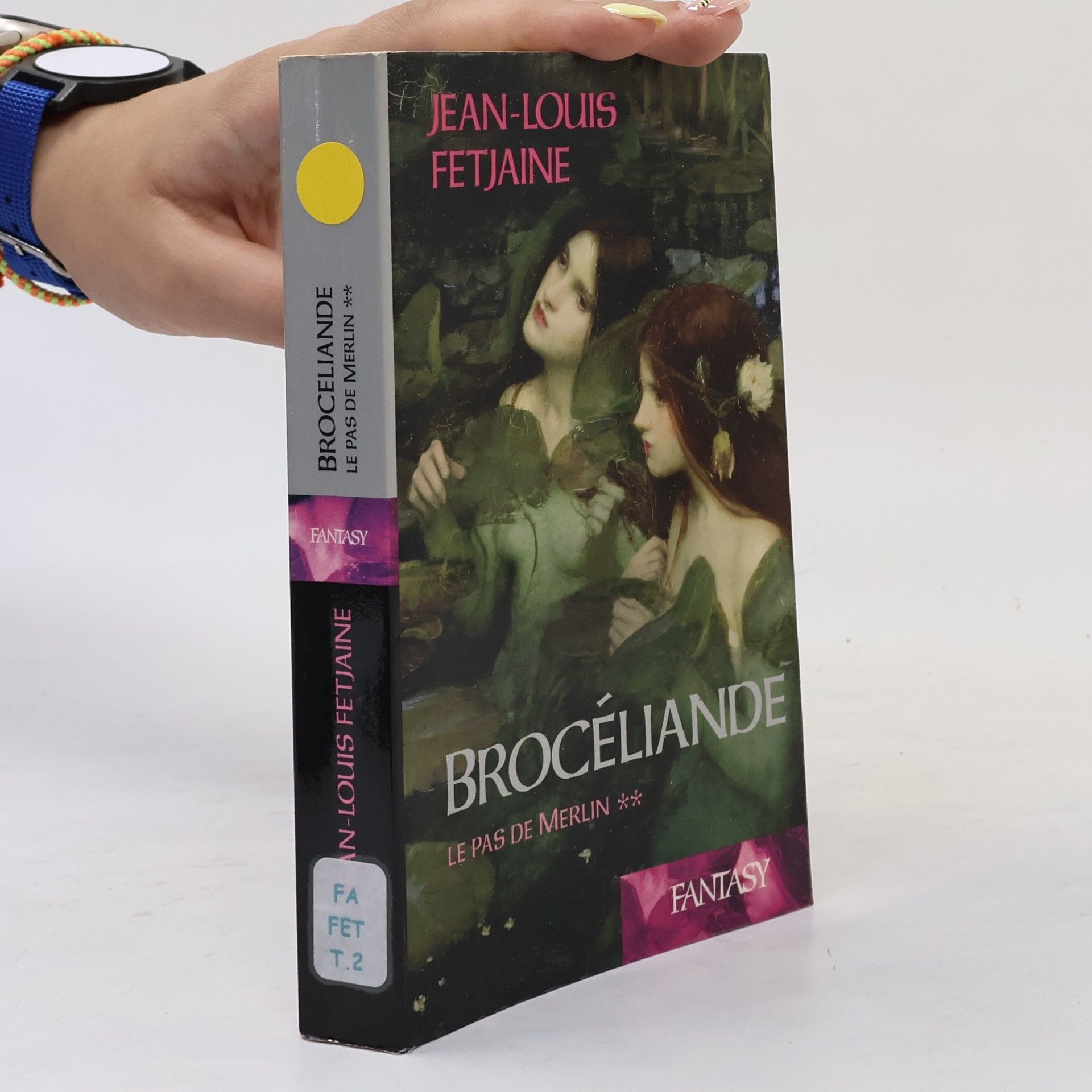 Jean-Louis Fetjaine Brocéliande - 2: Le Pas de Merlin