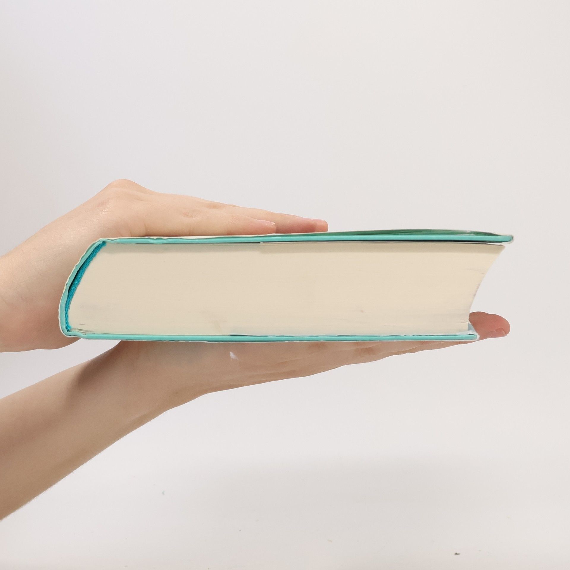 Rebekka Knoll Das Echo der Gezeiten