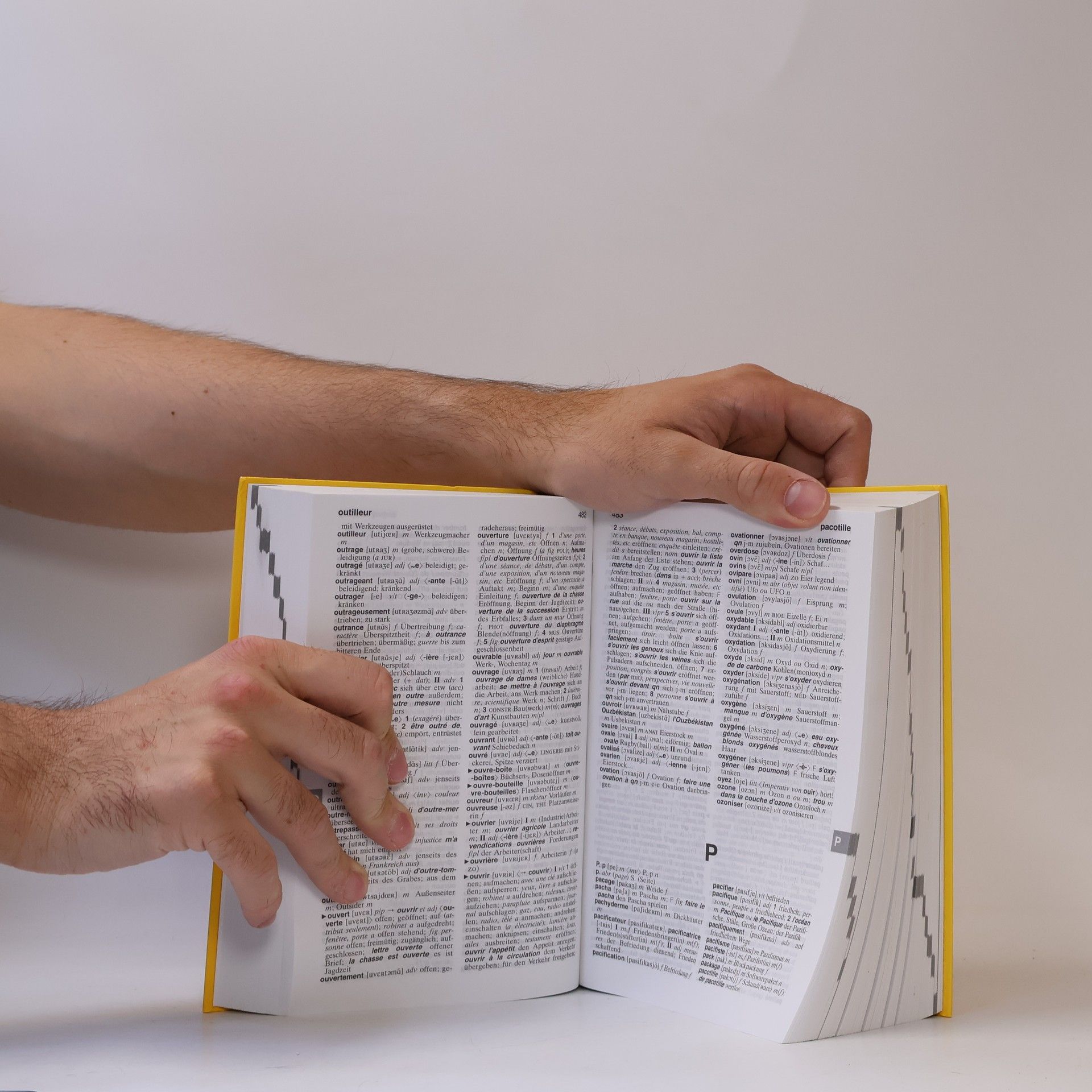 Manfred Bleher Langenscheidt praktisches Wörterbuch Französisch