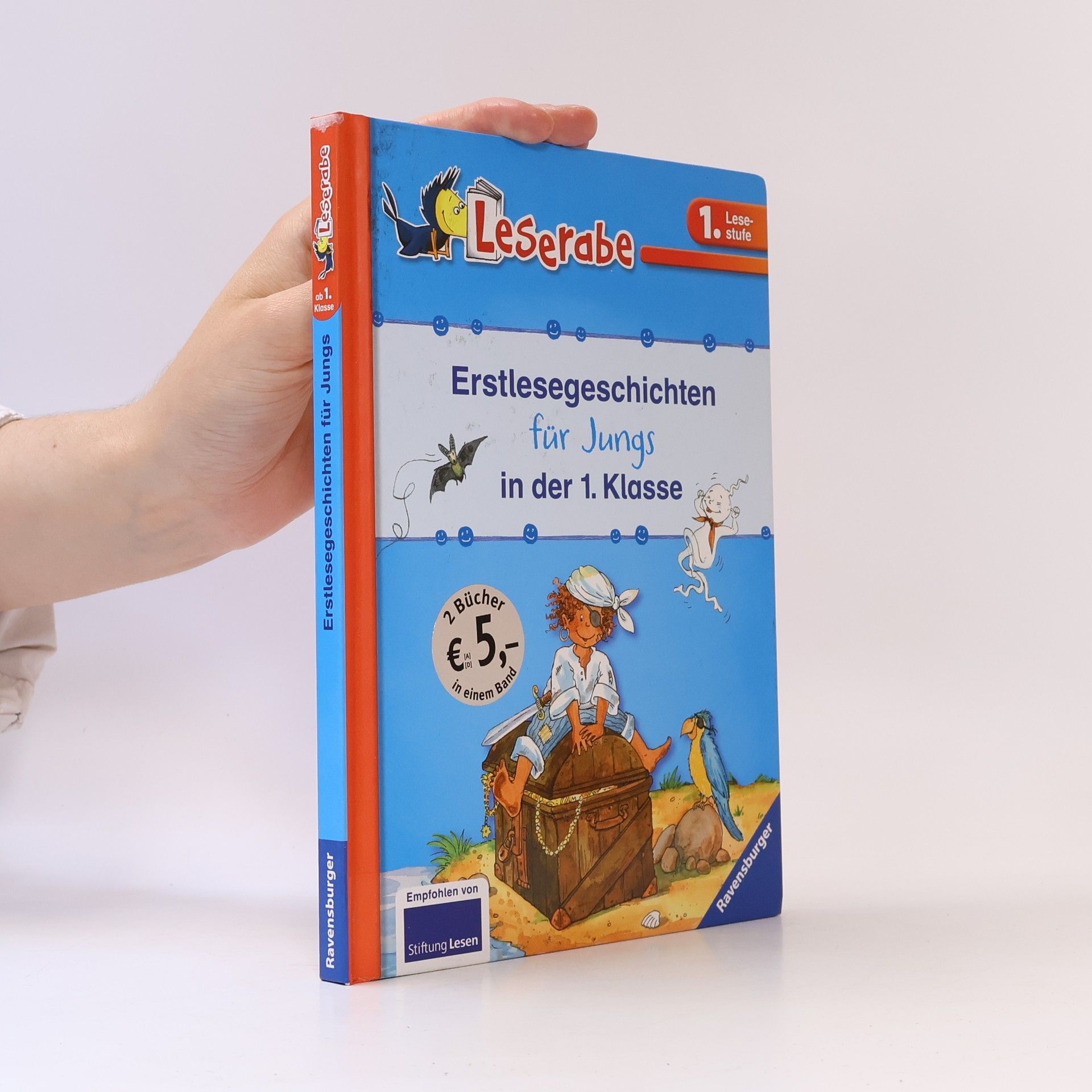 Silke Voigt Erstlesegeschichten für Jungs in der 1. Klasse