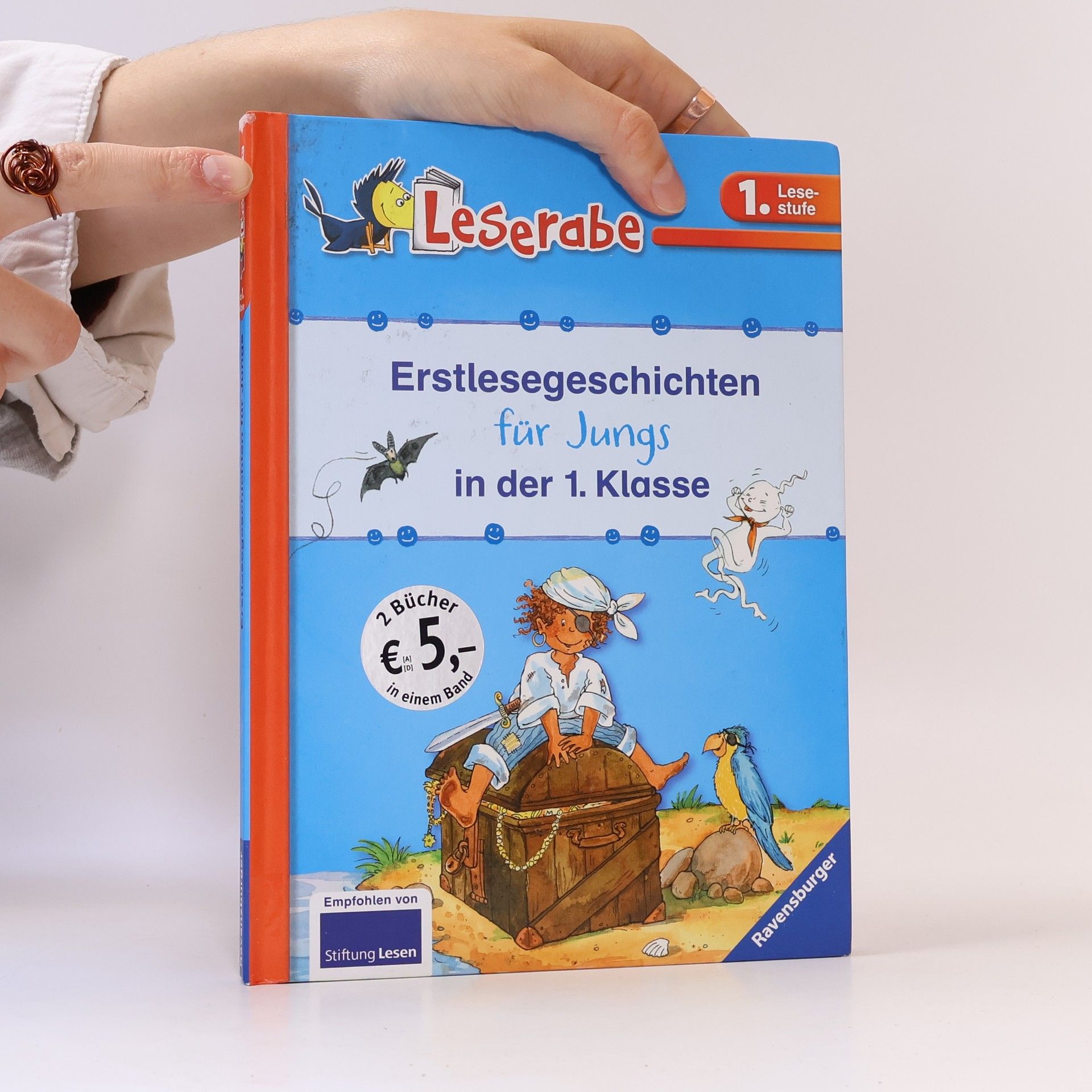 Silke Voigt Erstlesegeschichten für Jungs in der 1. Klasse