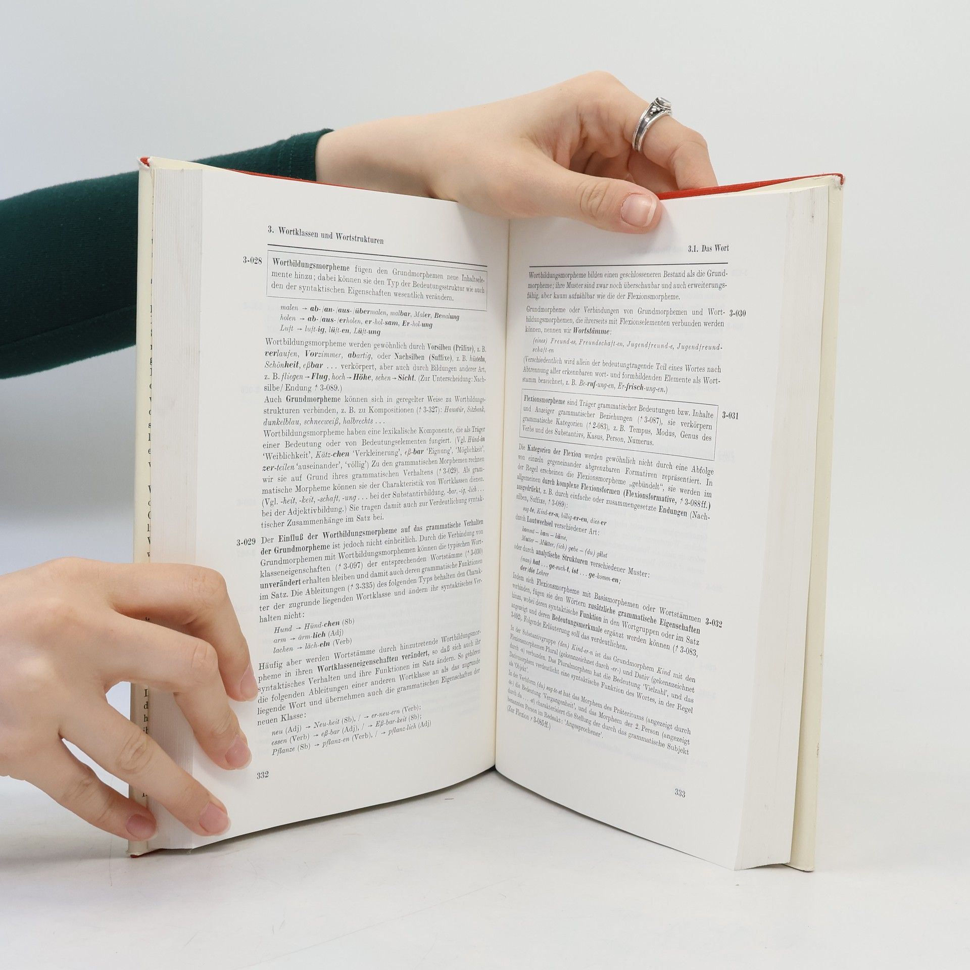 Walter Flämig Grammatik des Deutschen