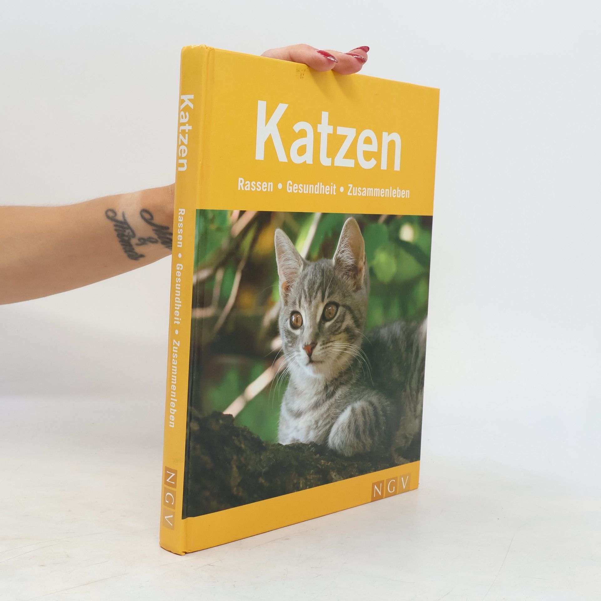 Antje Breuer Katzen