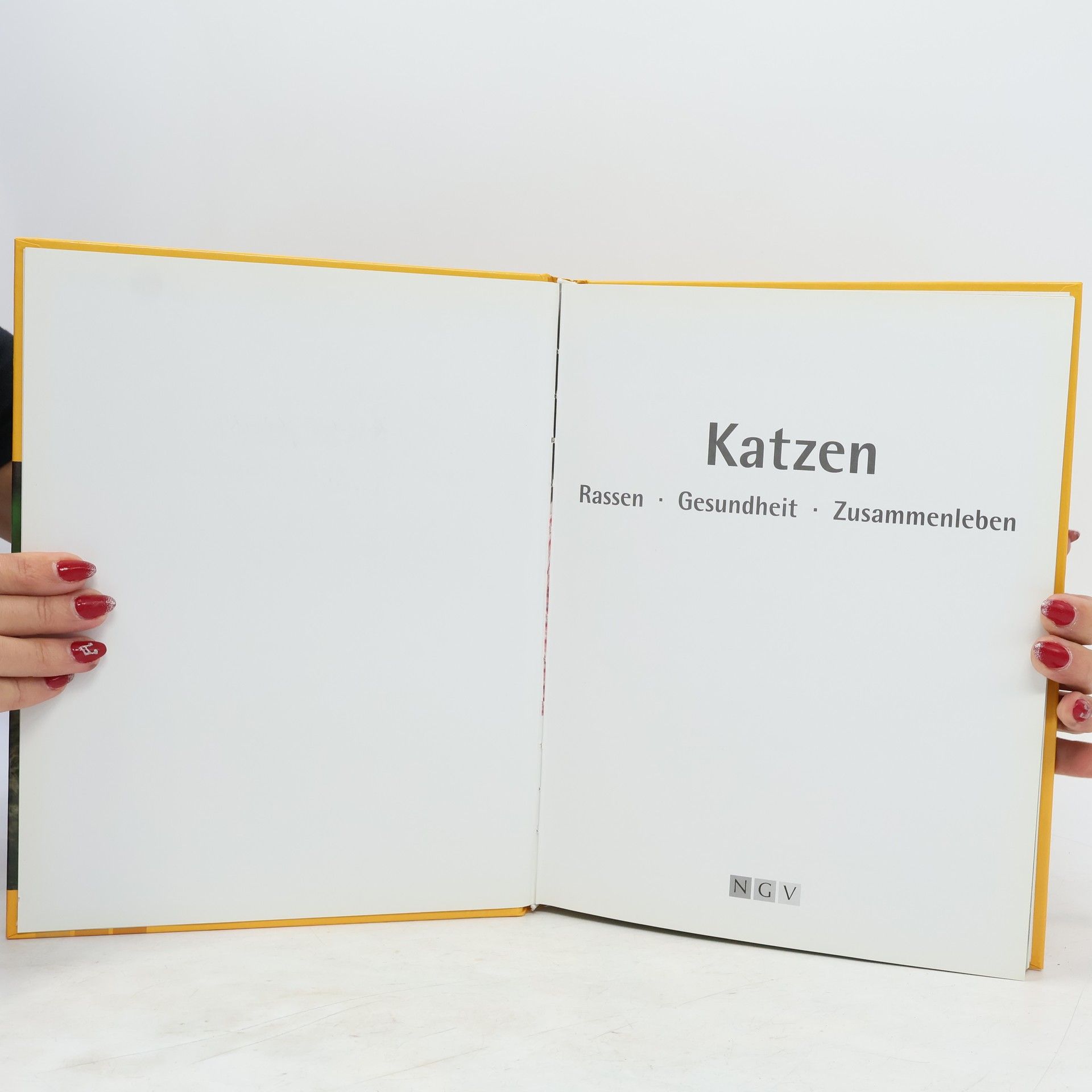 Antje Breuer Katzen