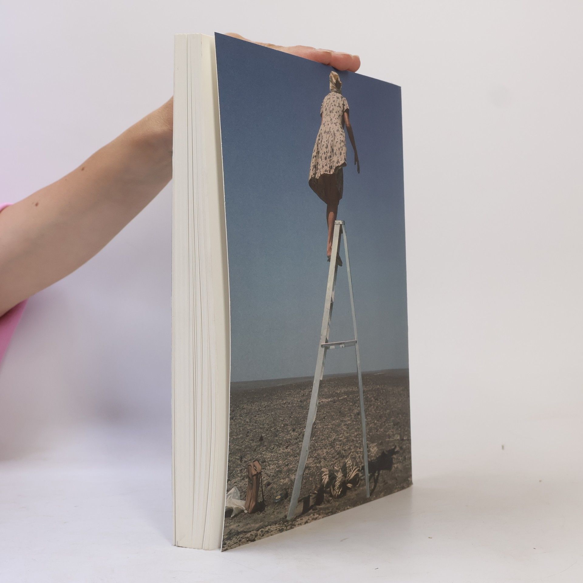 Autorenkollektiv Reporting From the Front: Biennale Architettura 2016, Exhibition