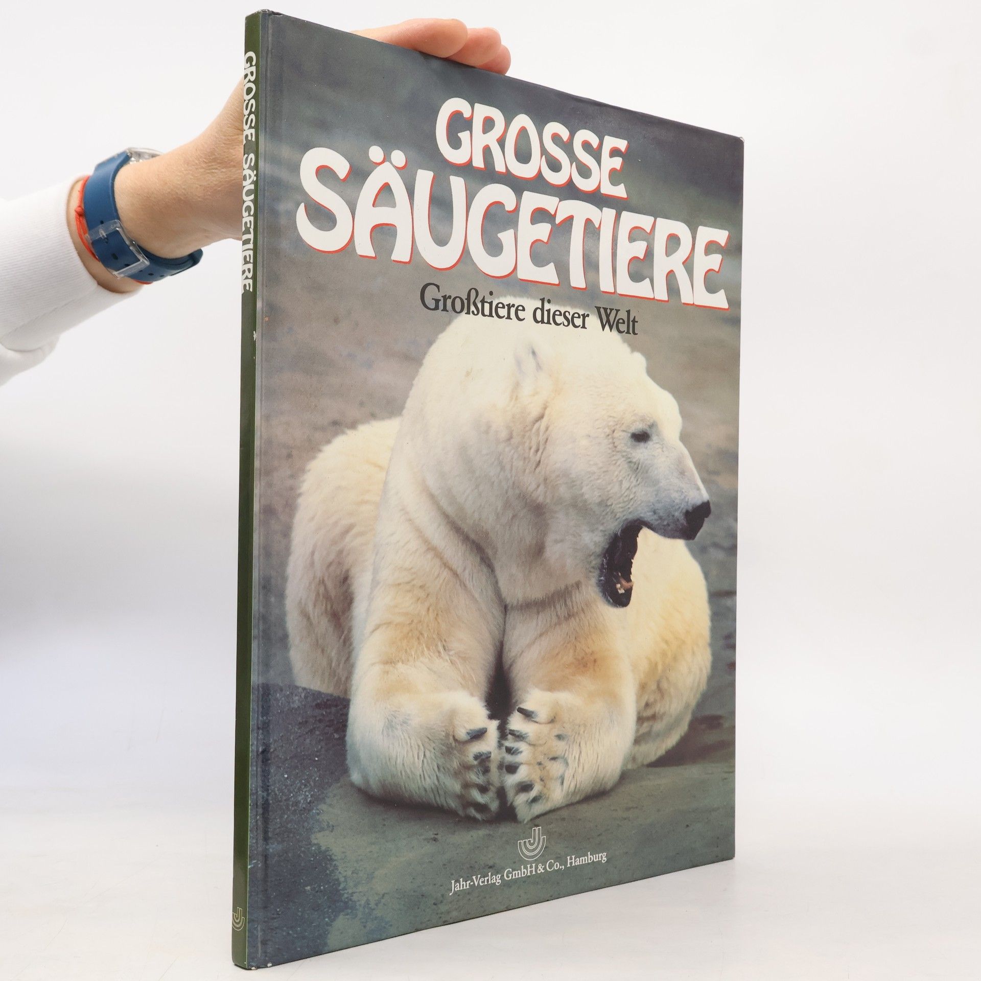 Autorenkollektiv Grosse Säugetiere