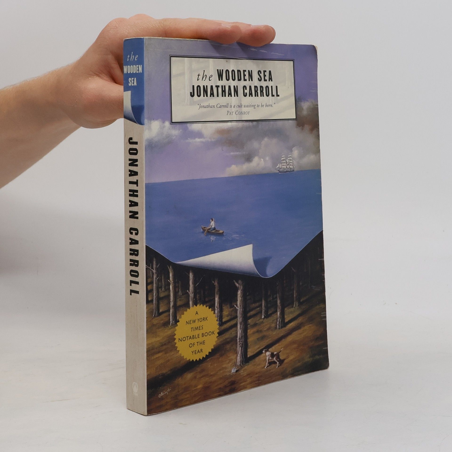 Jonathan Carroll The Wooden Sea