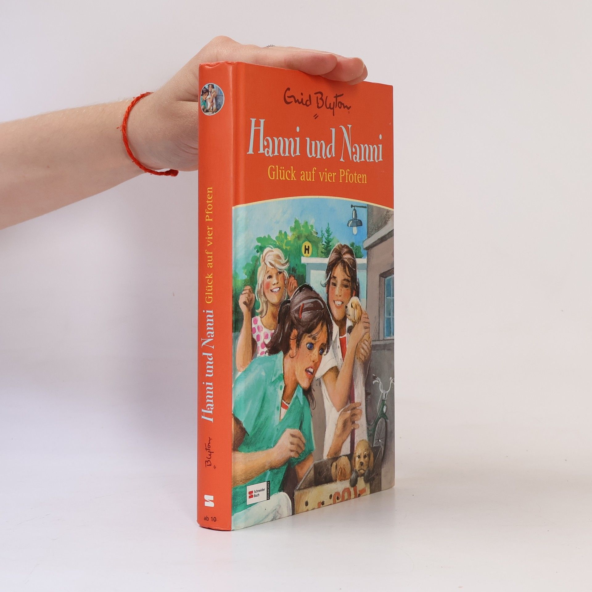 Enid Blyton Hanni und Nanni - Glück auf vier Pfoten