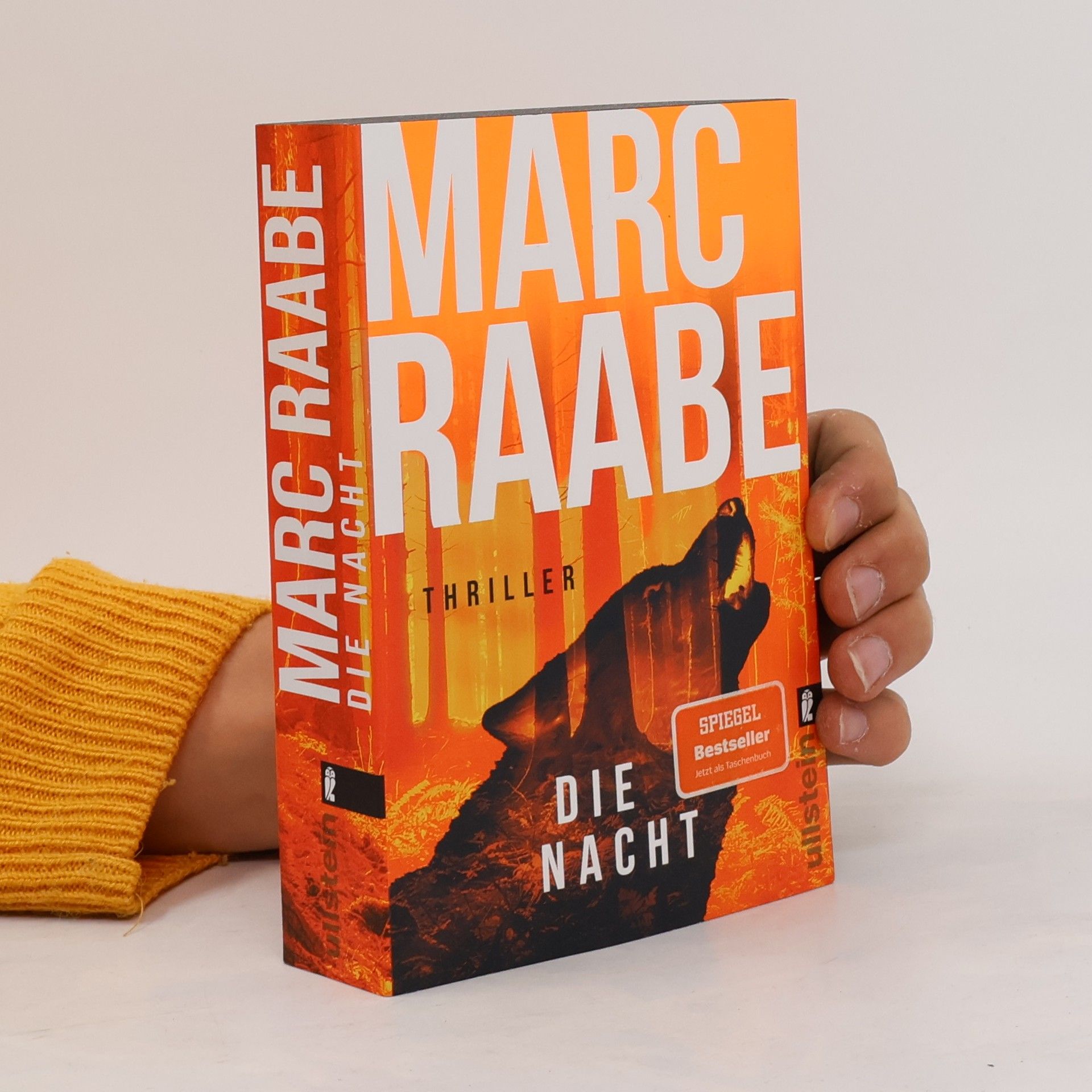 Marc Raabe Art Mayer-Serie - 3: Die Nacht