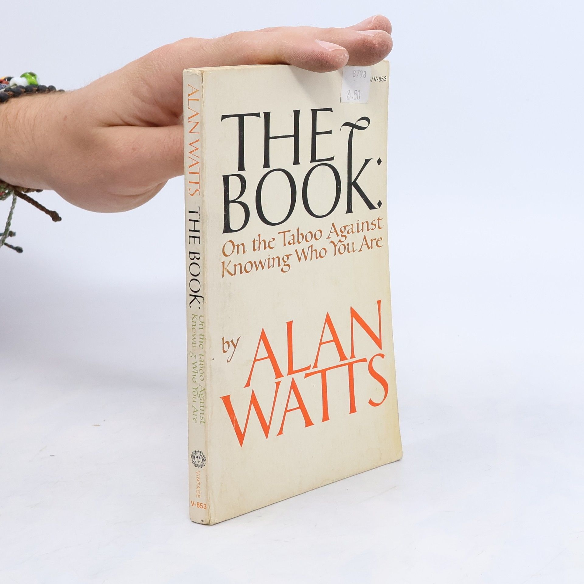 Alan Watts The Book