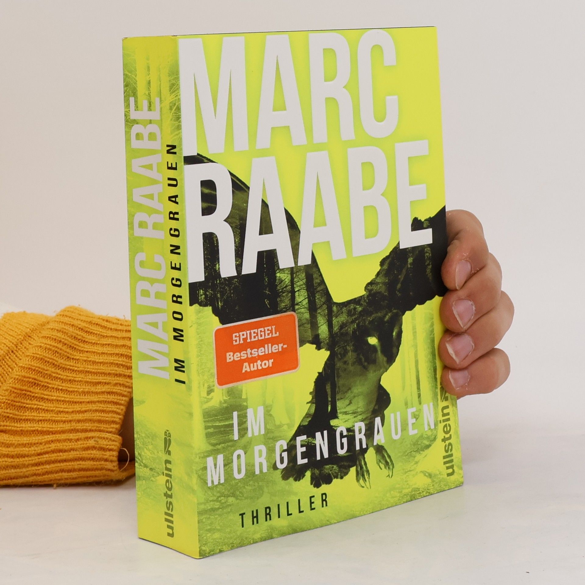 Marc Raabe Art Mayer-Serie - 4: Im Morgengrauen