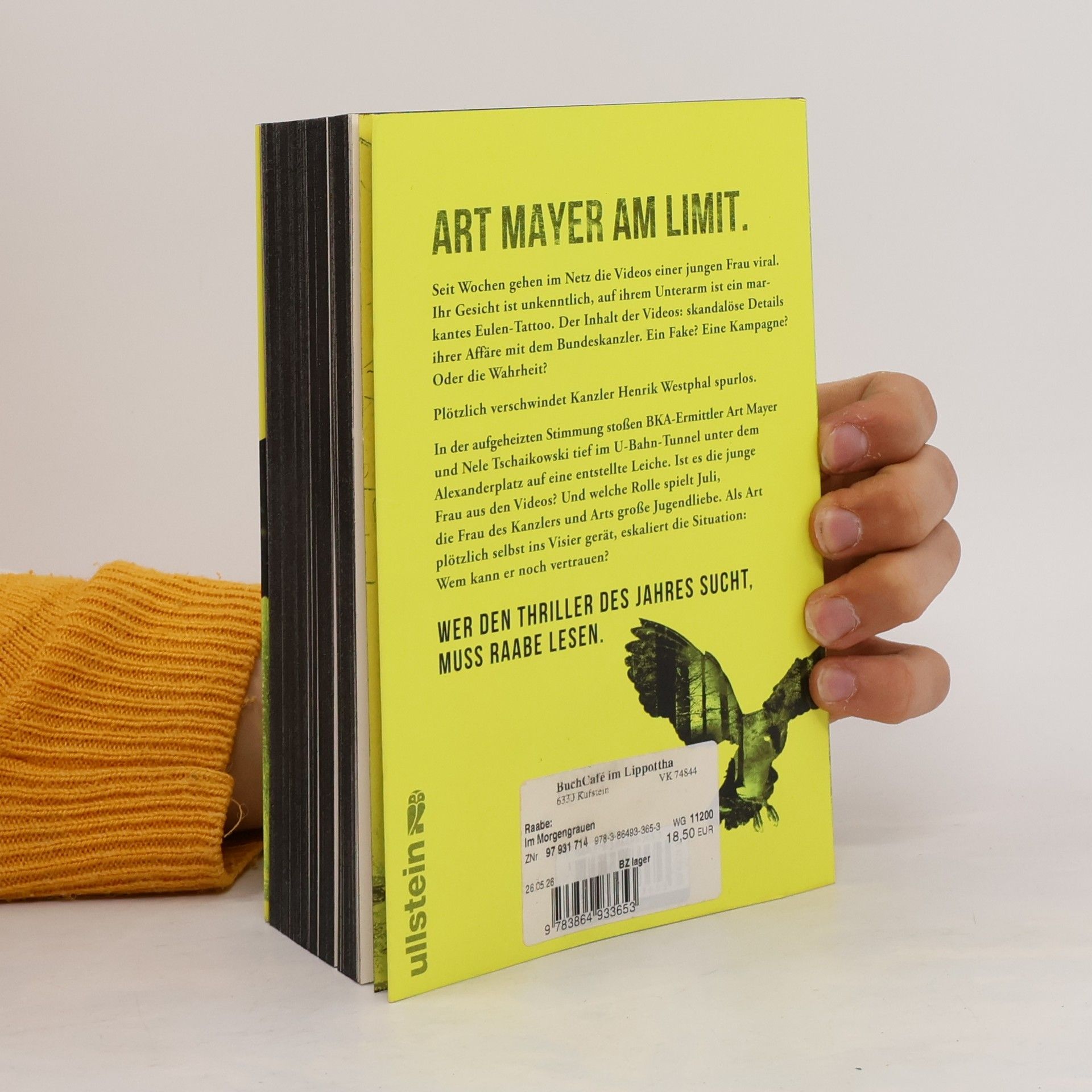 Marc Raabe Art Mayer-Serie - 4: Im Morgengrauen