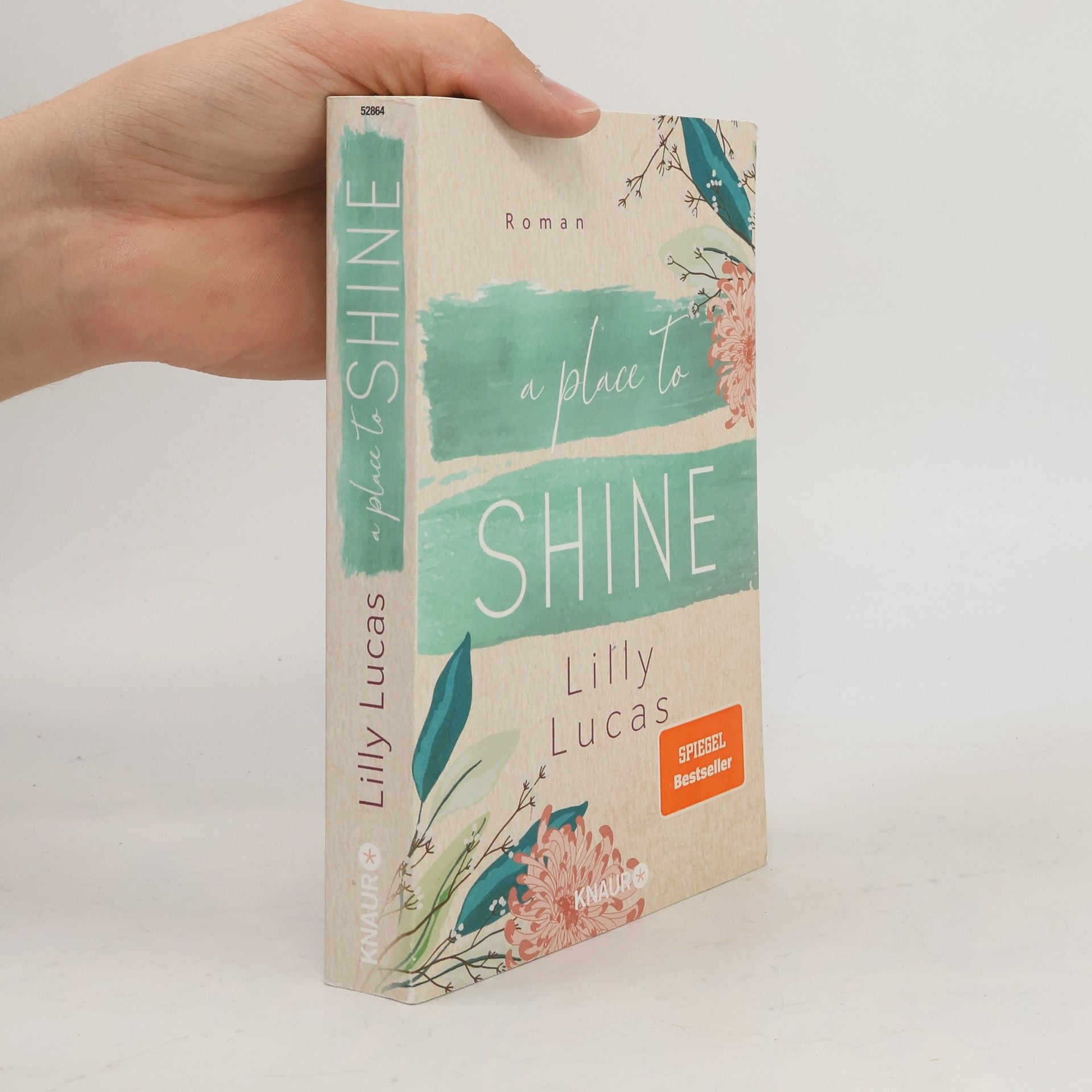 Lilly Lucas A Place to Shine