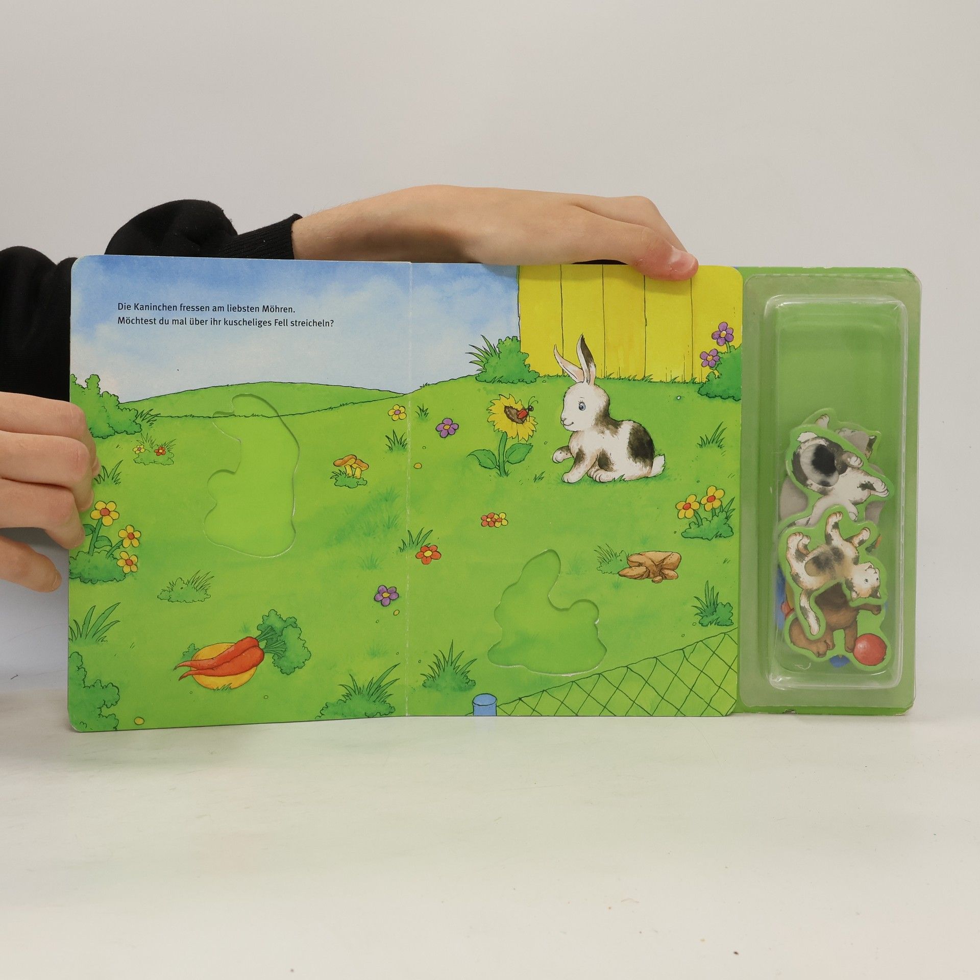 Don-Oliver Matthies Mein Fühl-Puzzle-Buch - Haustiere