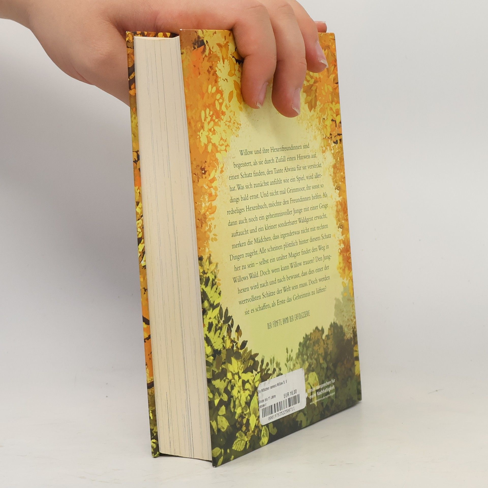 Sabine Bohlmann Schattenzeit / Ein Mädchen namens Willow Bd.5