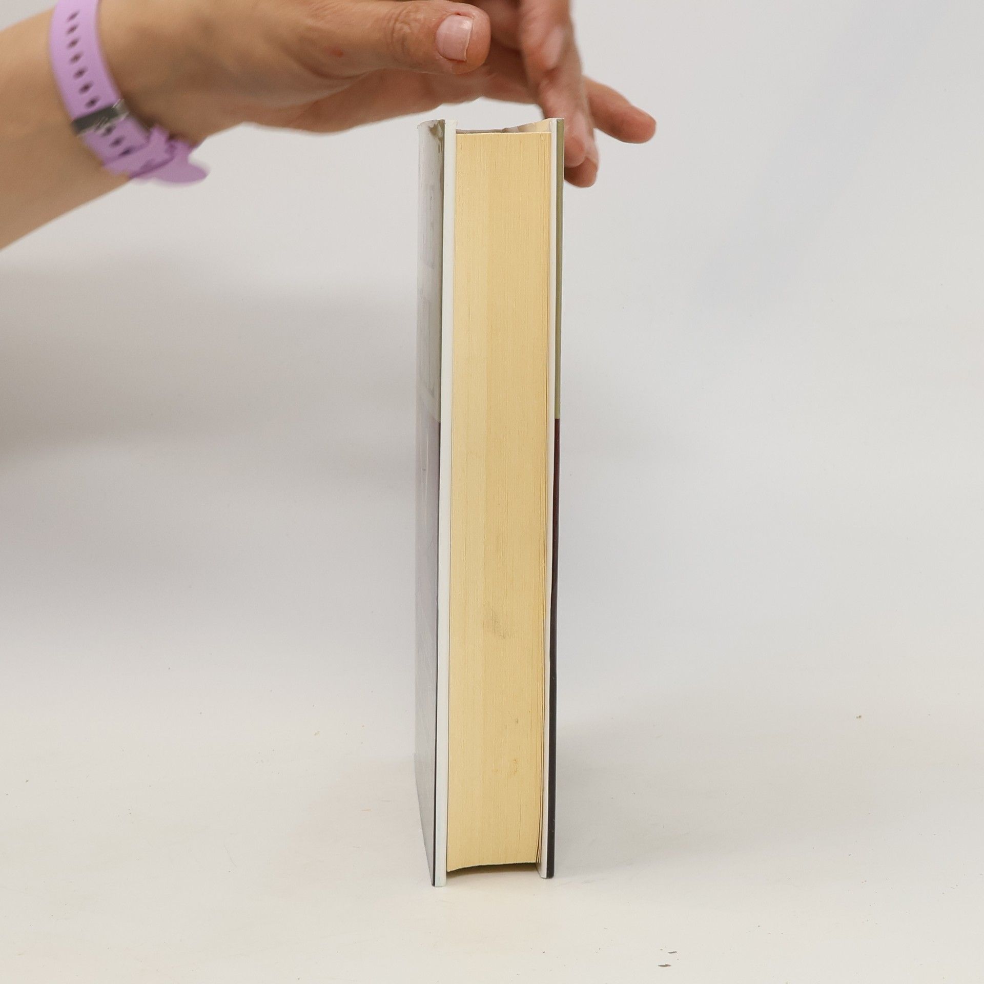 Danielle Steel Všechny matčiny hříchy