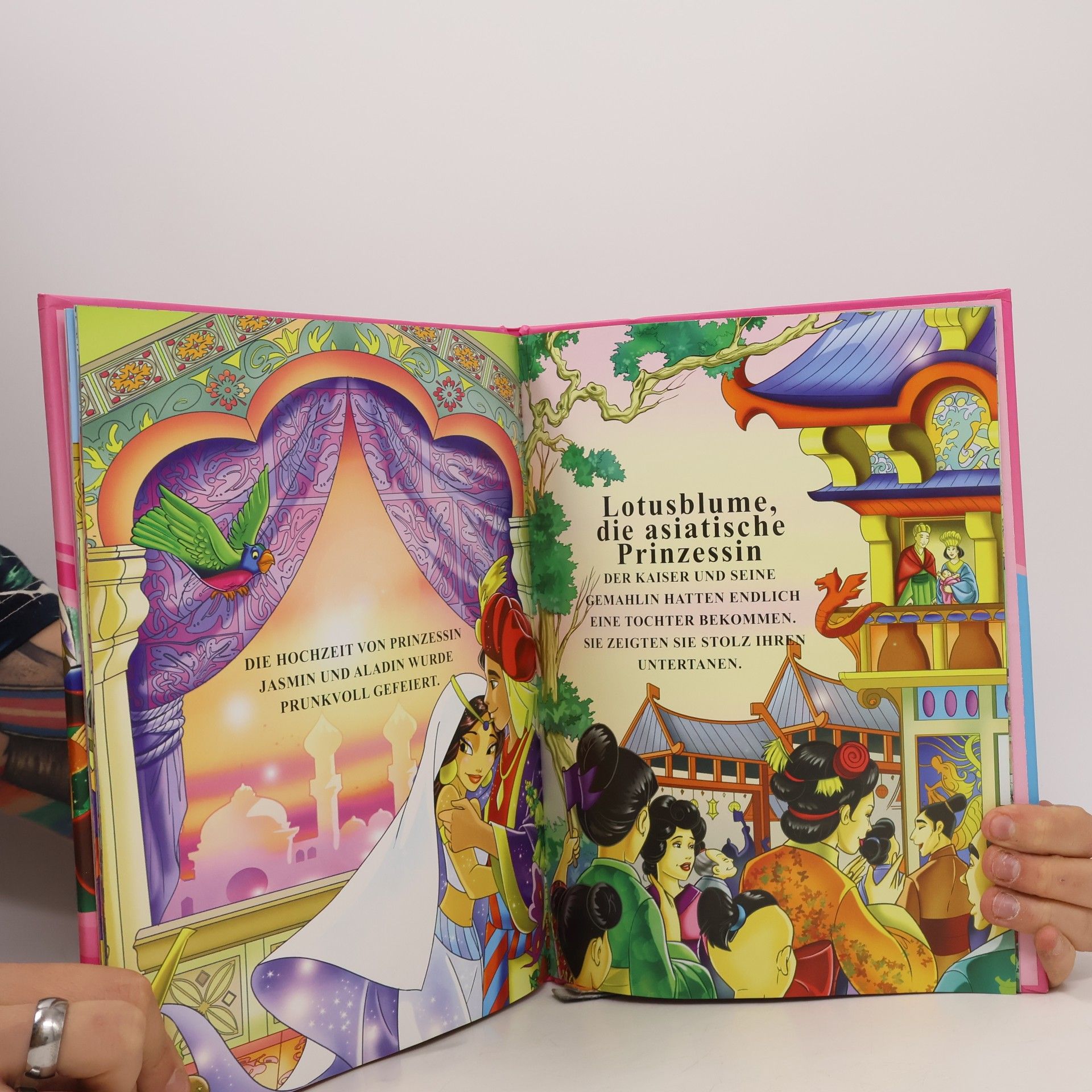 Autorenkollektiv Das große Buch der Prinzessinnen