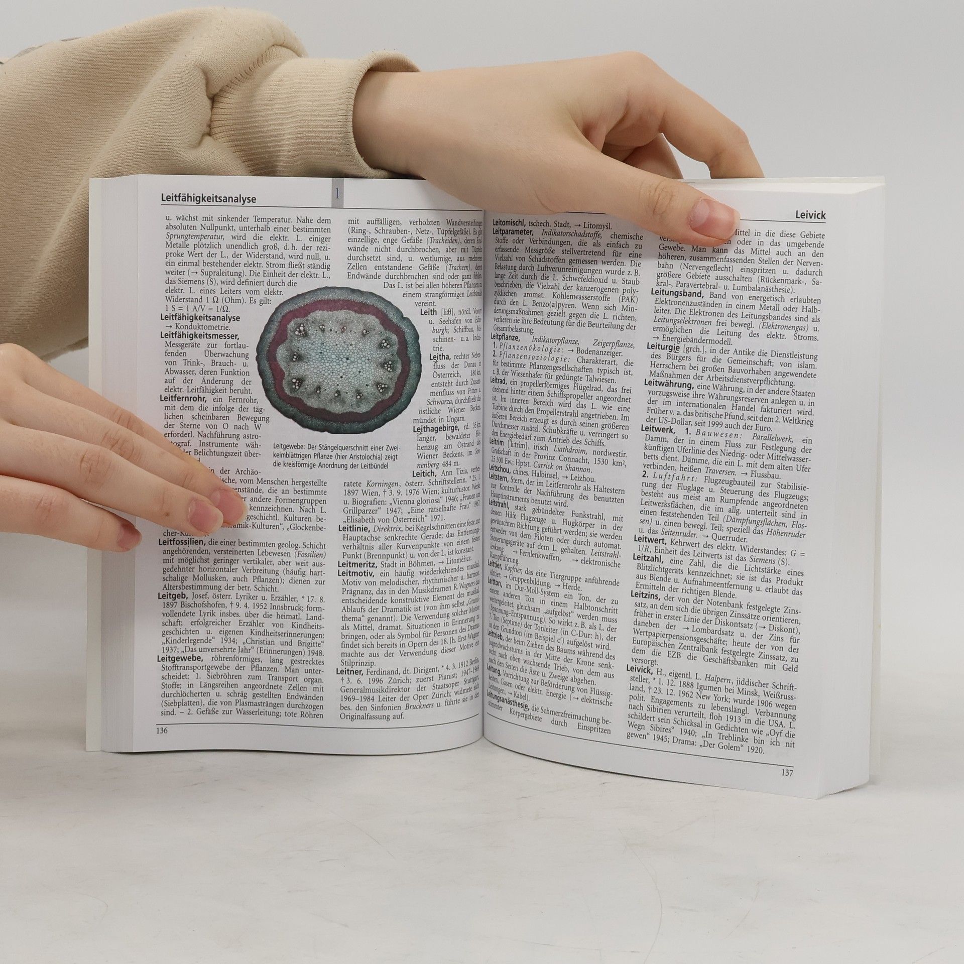 Autores varios Das aktuelle wissen.de Lexikon 13. Labe-Magd