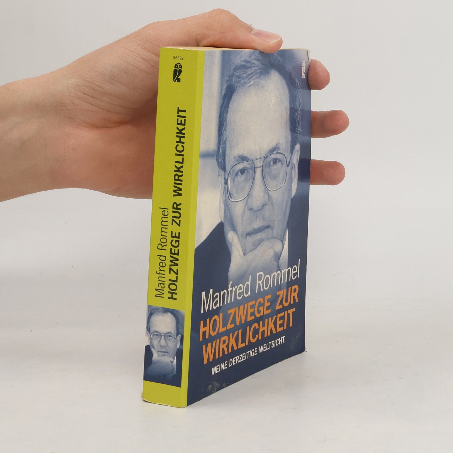 Manfred Rommel Holzwege zur Wirklichkeit