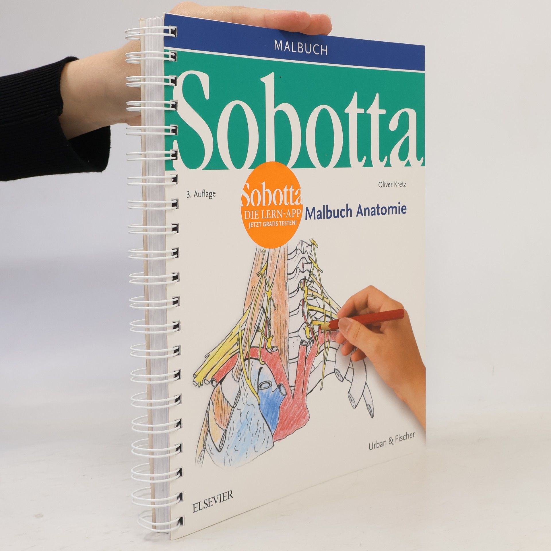 Oliver Kretz Sobotta Malbuch Anatomie