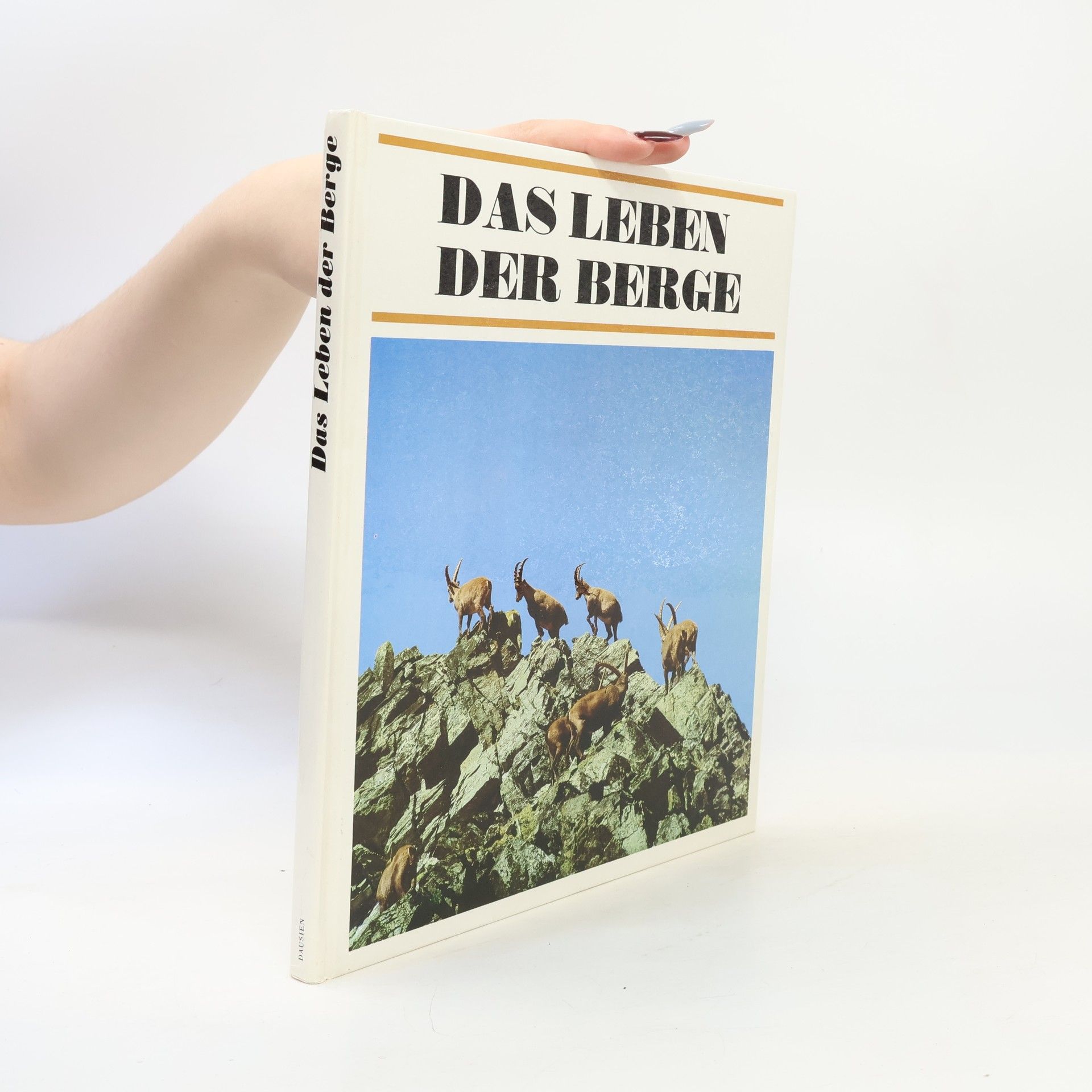 Jan Jeník Das Leben der Berge