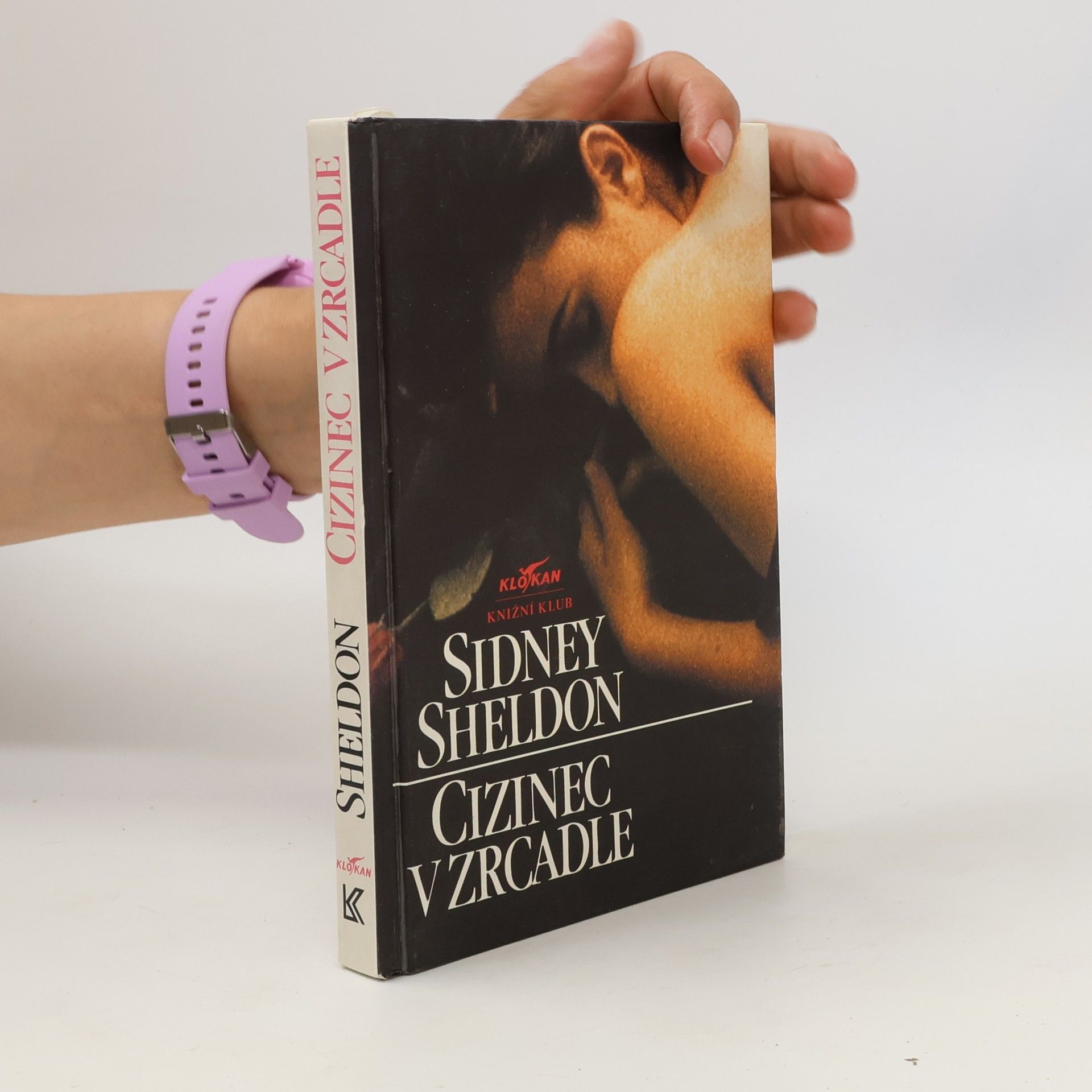 Sidney Sheldon Cizinec v zrcadle