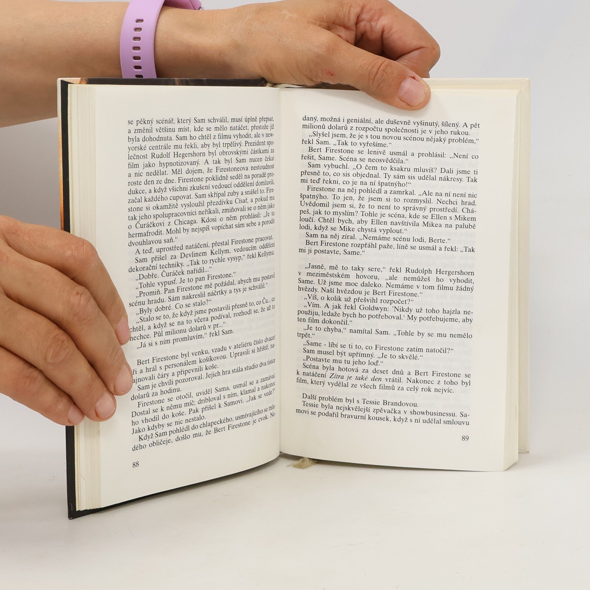 Sidney Sheldon Cizinec v zrcadle