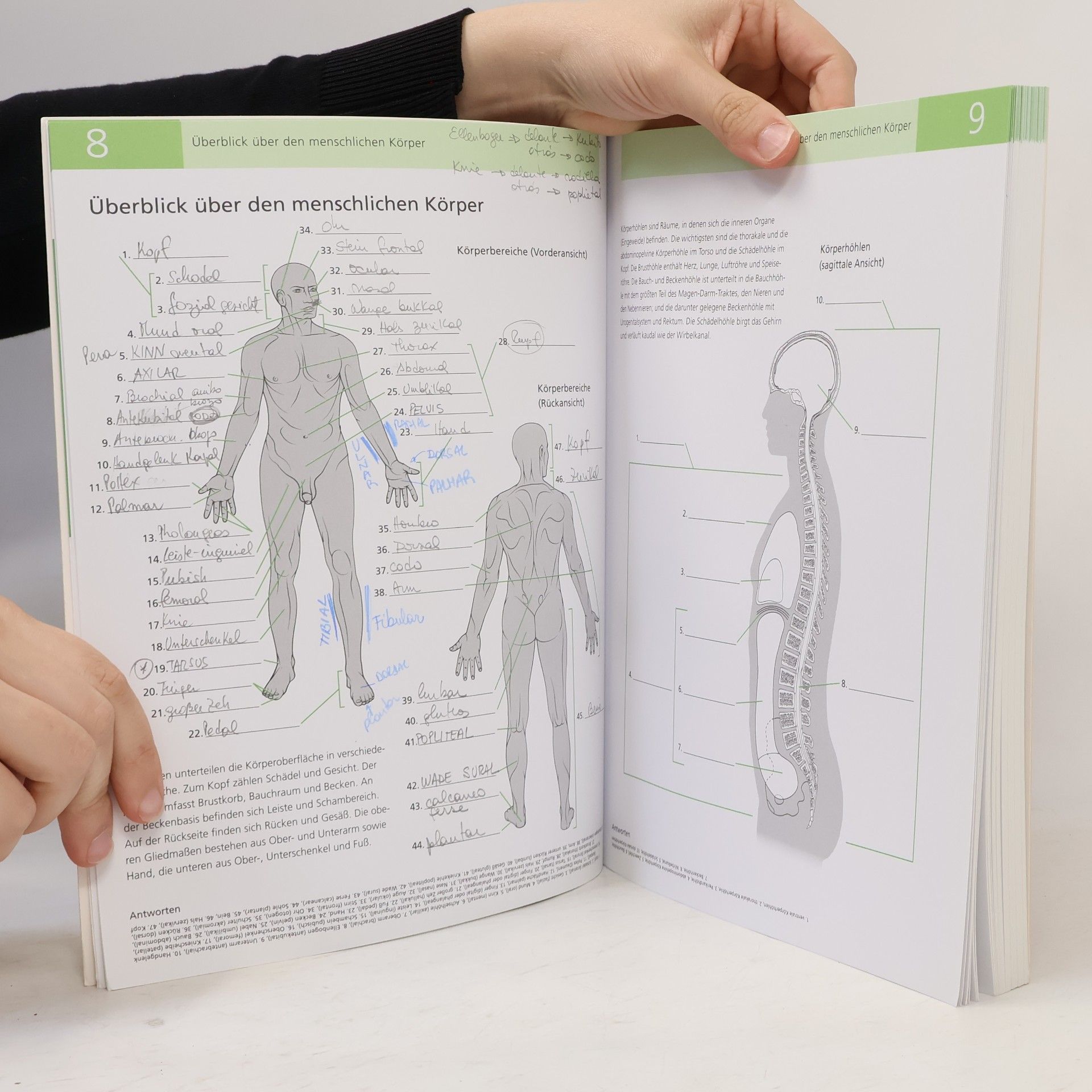JOSHUA DR. GOWIN Das Lehrbuch vom menschlichen Gehirn