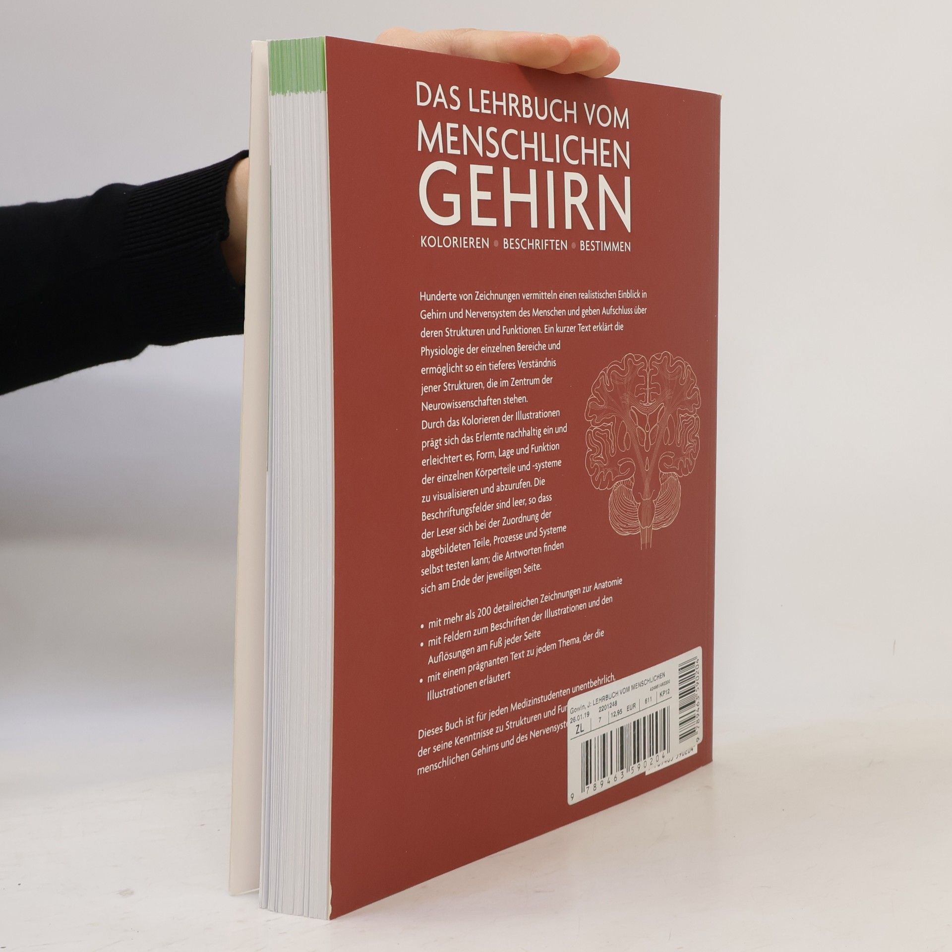 JOSHUA DR. GOWIN Das Lehrbuch vom menschlichen Gehirn