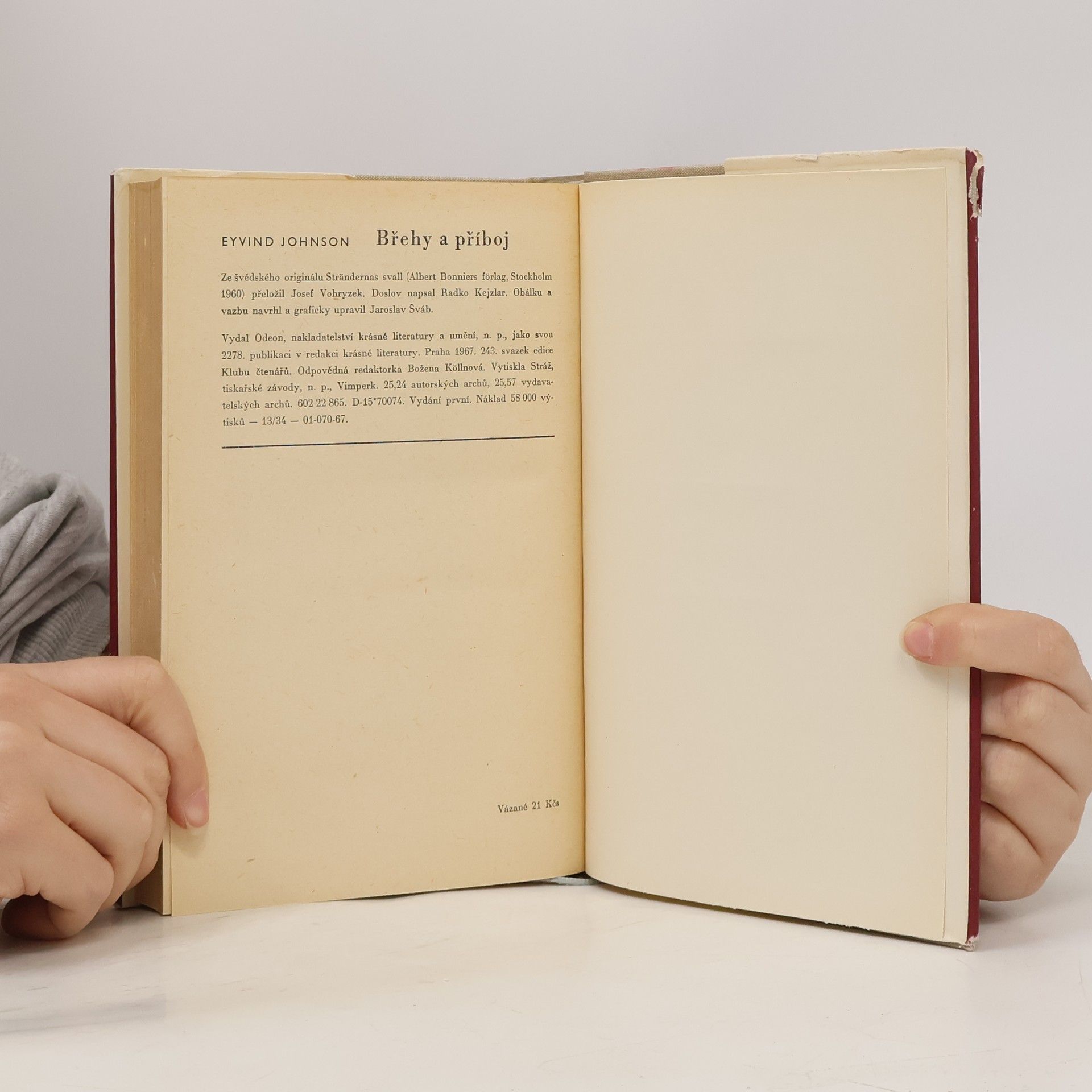 Eyvind Johnson Břehy a příboj