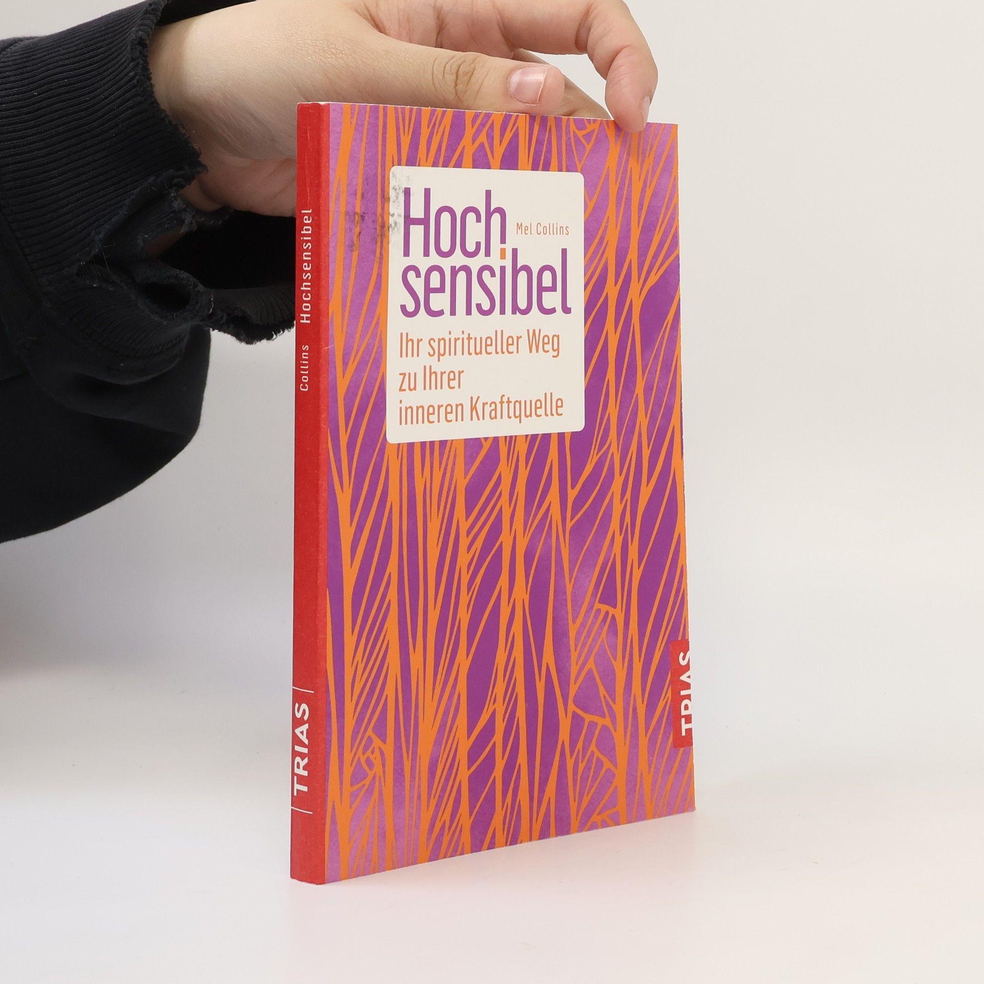 Mel Collins Hochsensibel
