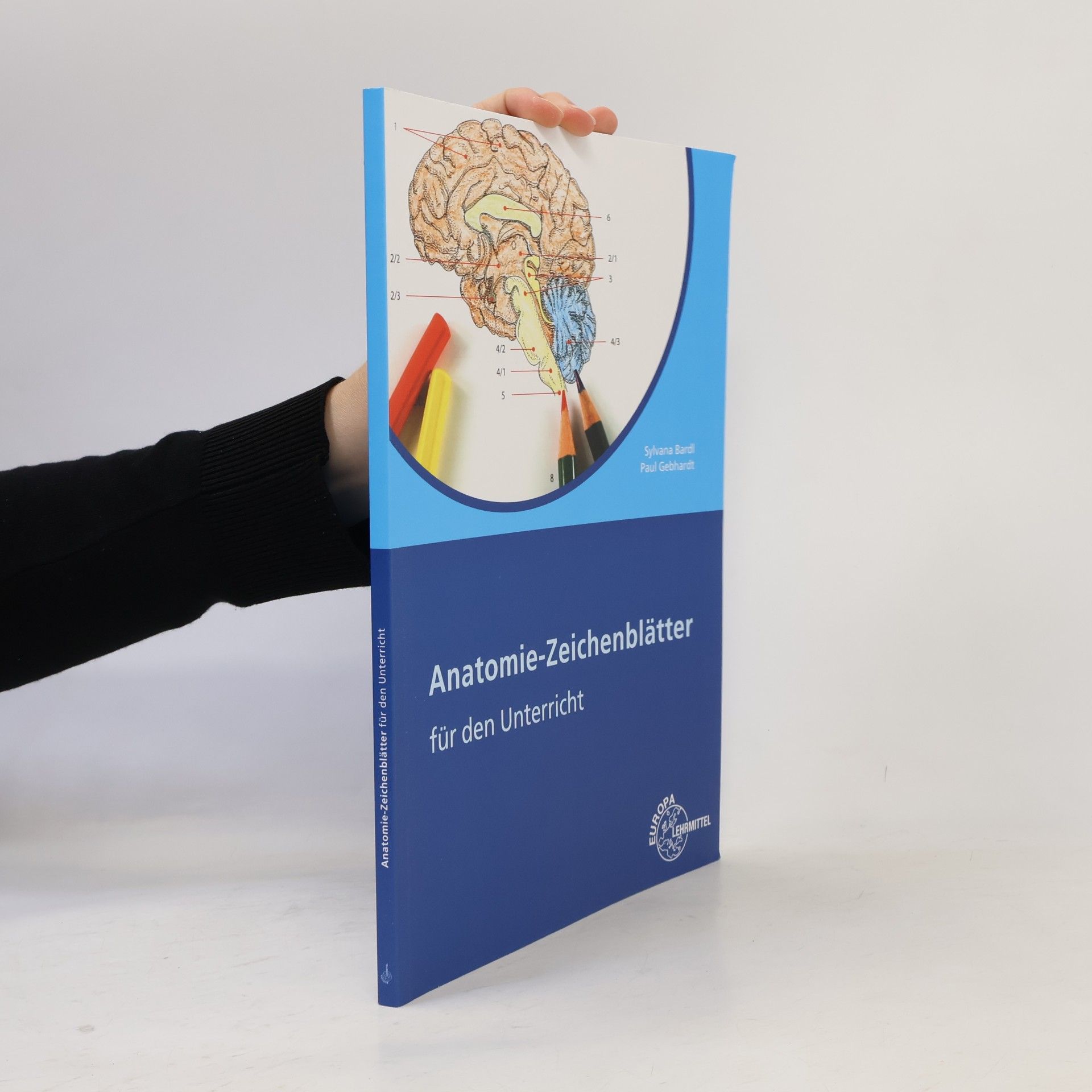 Sylvana Bardl Anatomie-Zeichenblätter für den Unterricht