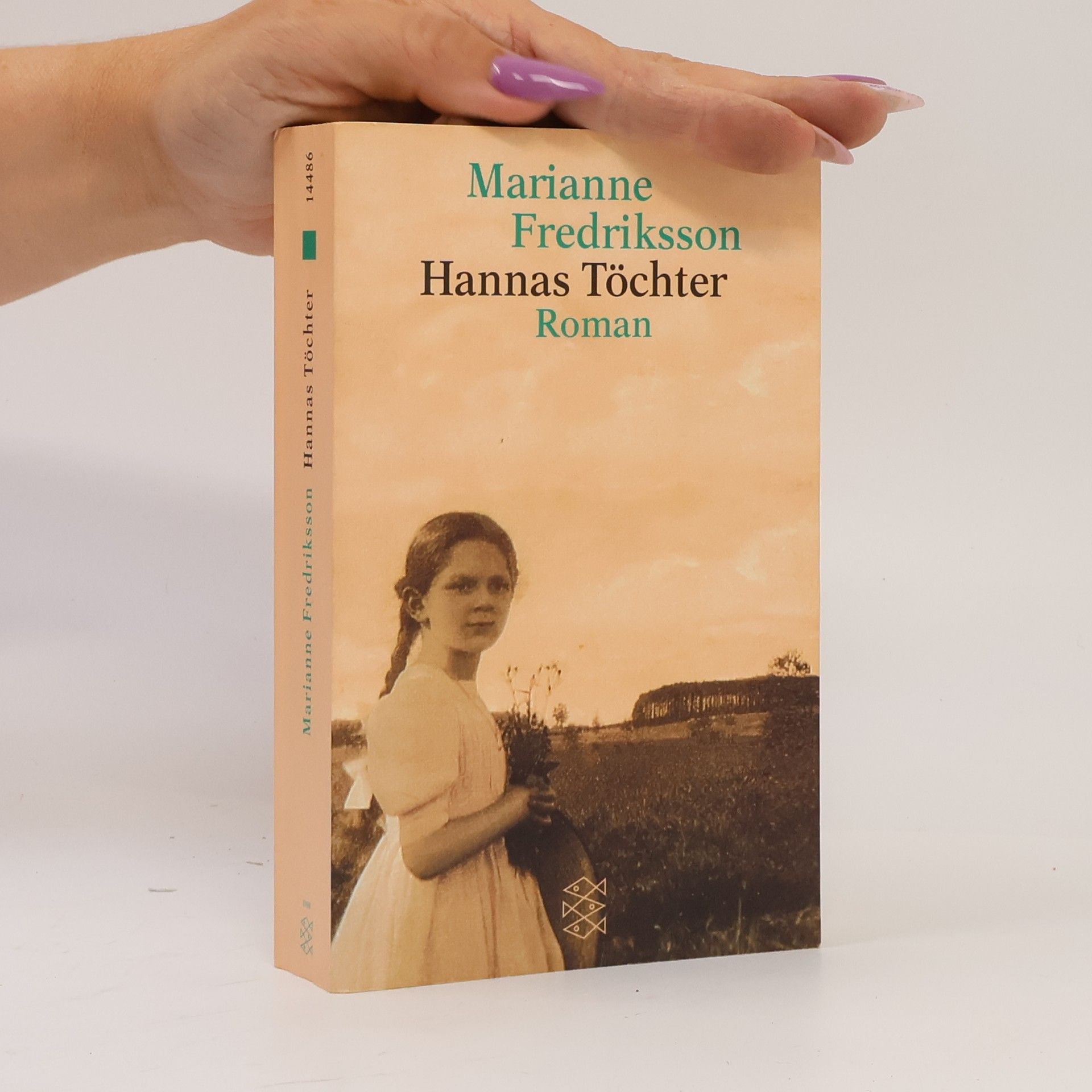 Marianne Fredriksson Hannas Töchter