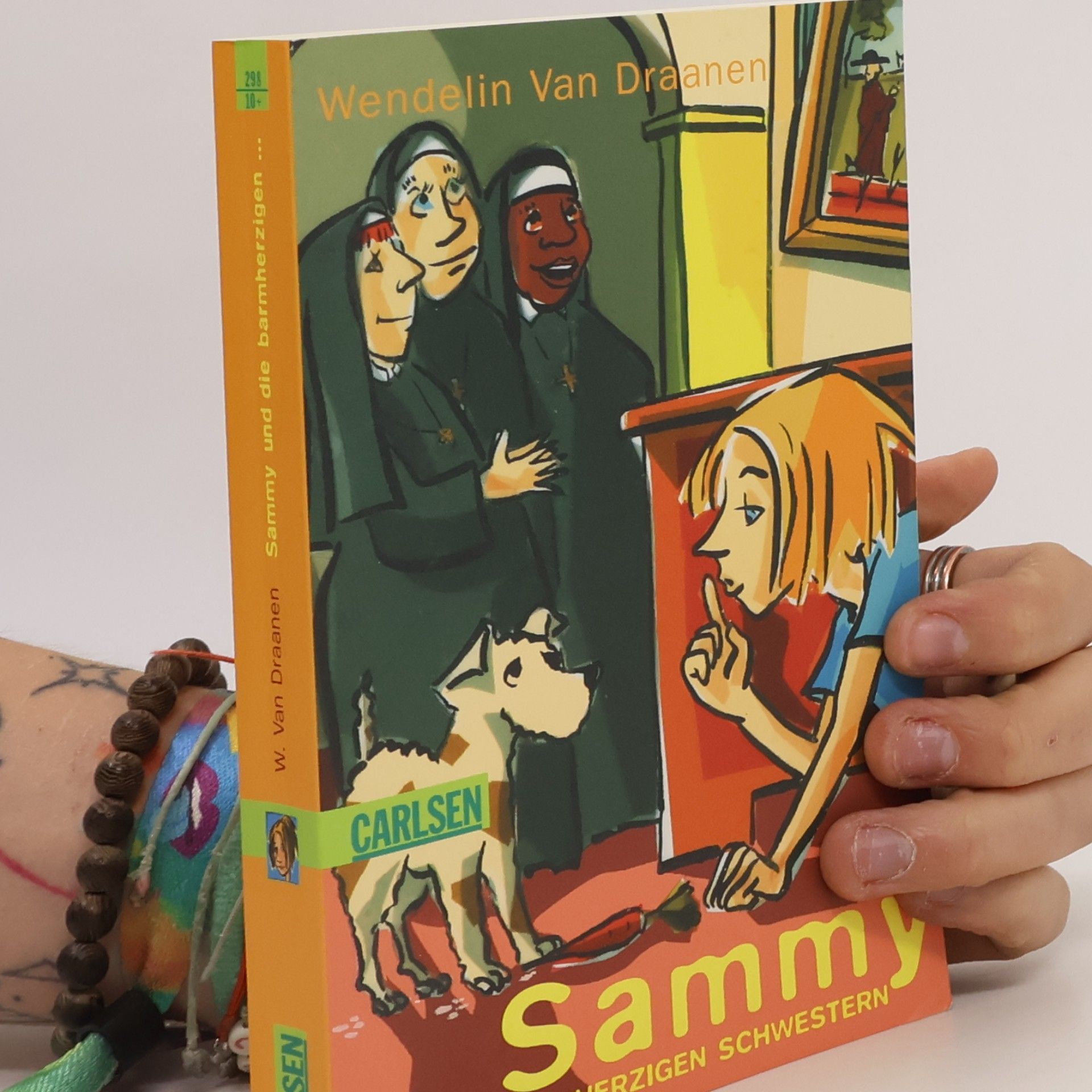 Wendelin Van Draanen Sammy und die Barmherzigen Schwestern