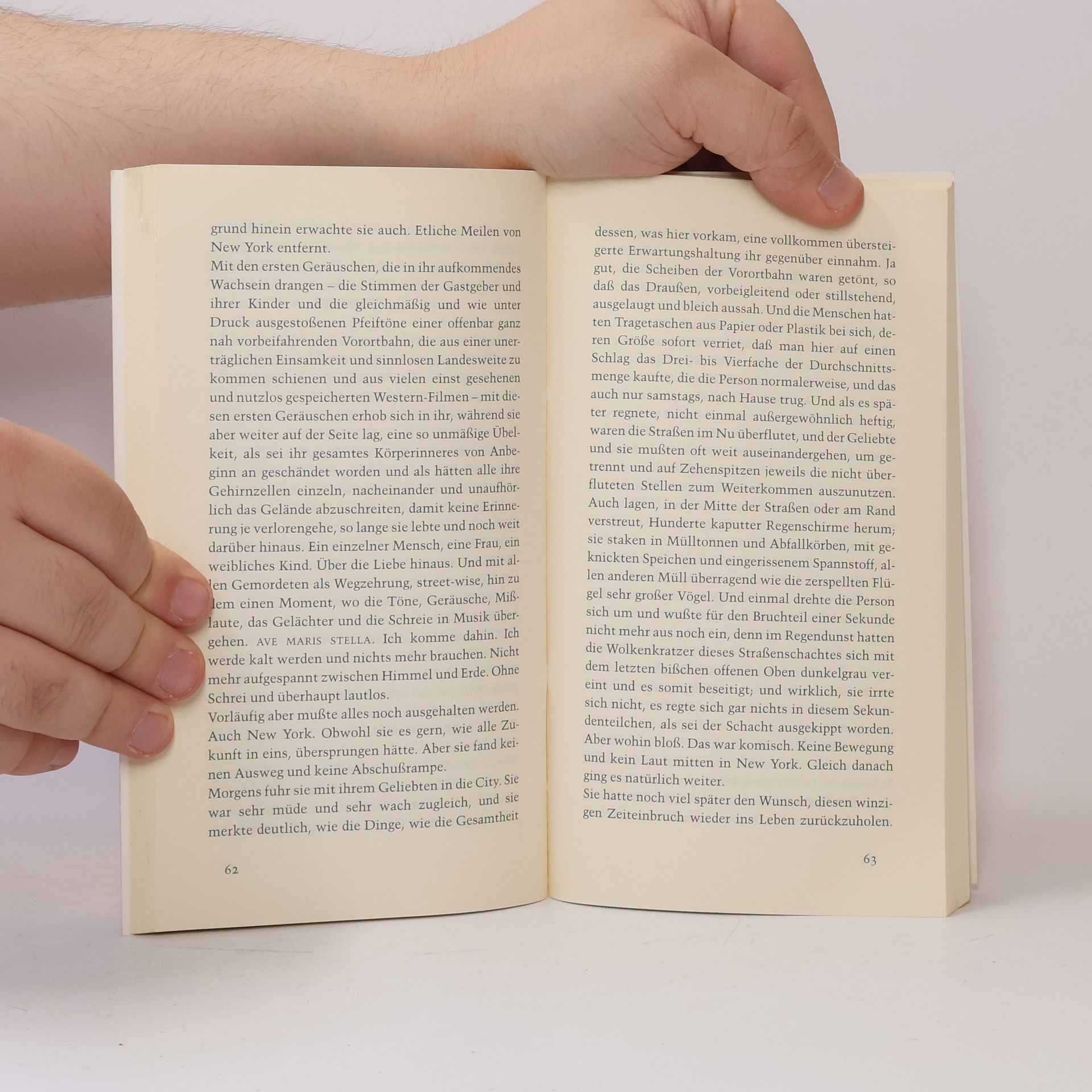 Anne Duden Rotbuch - 1065: Das Judasschaf