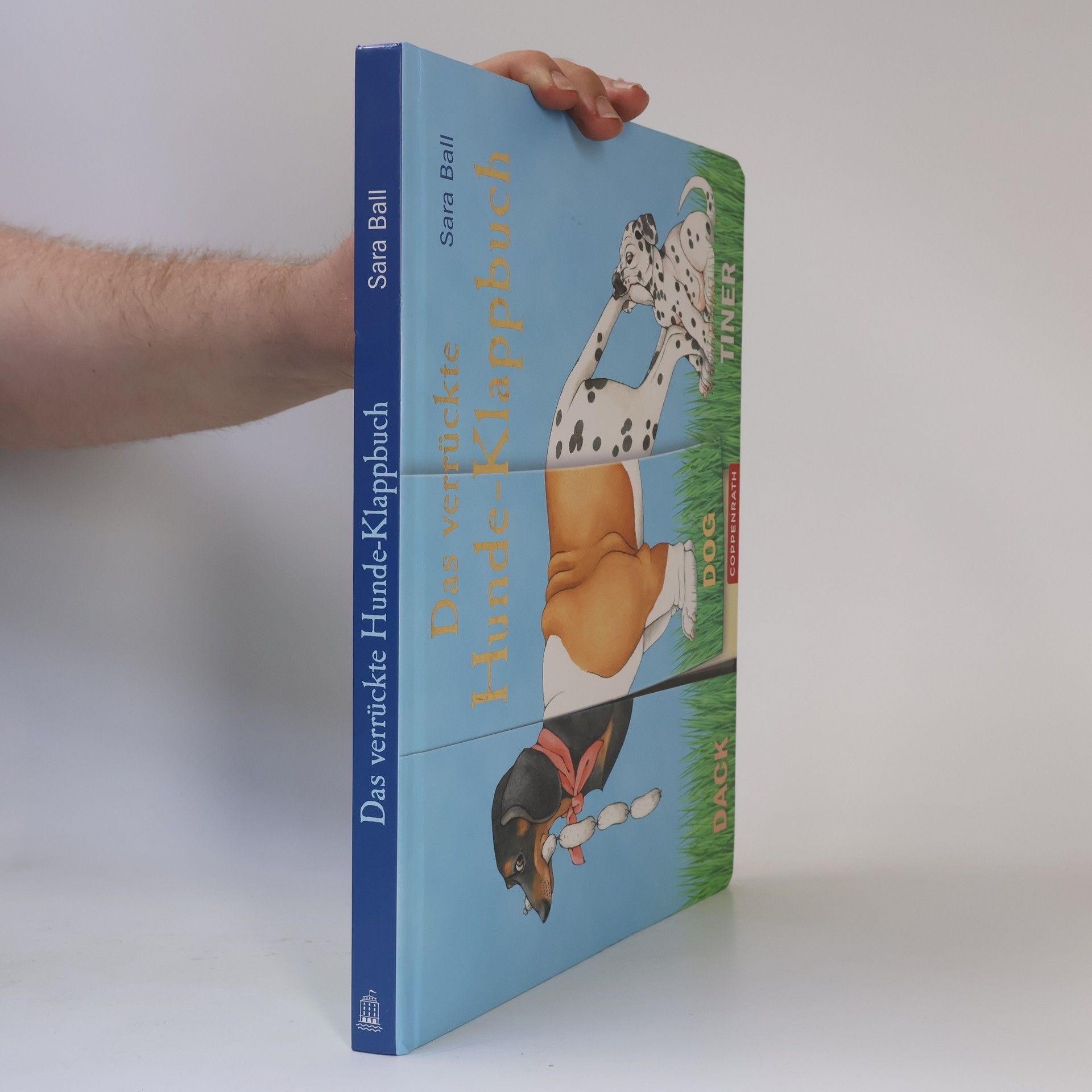 Das verrückte Hunde-Klappbuch