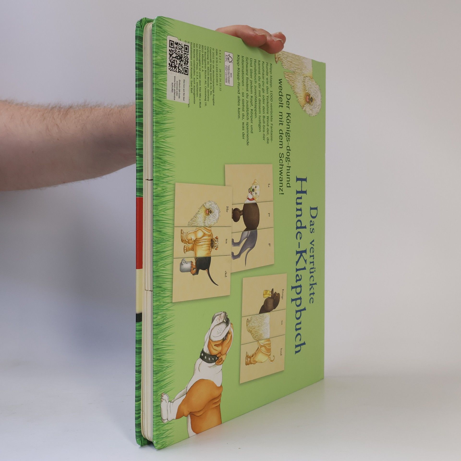 Sara Ball Das verrückte Hunde-Klappbuch