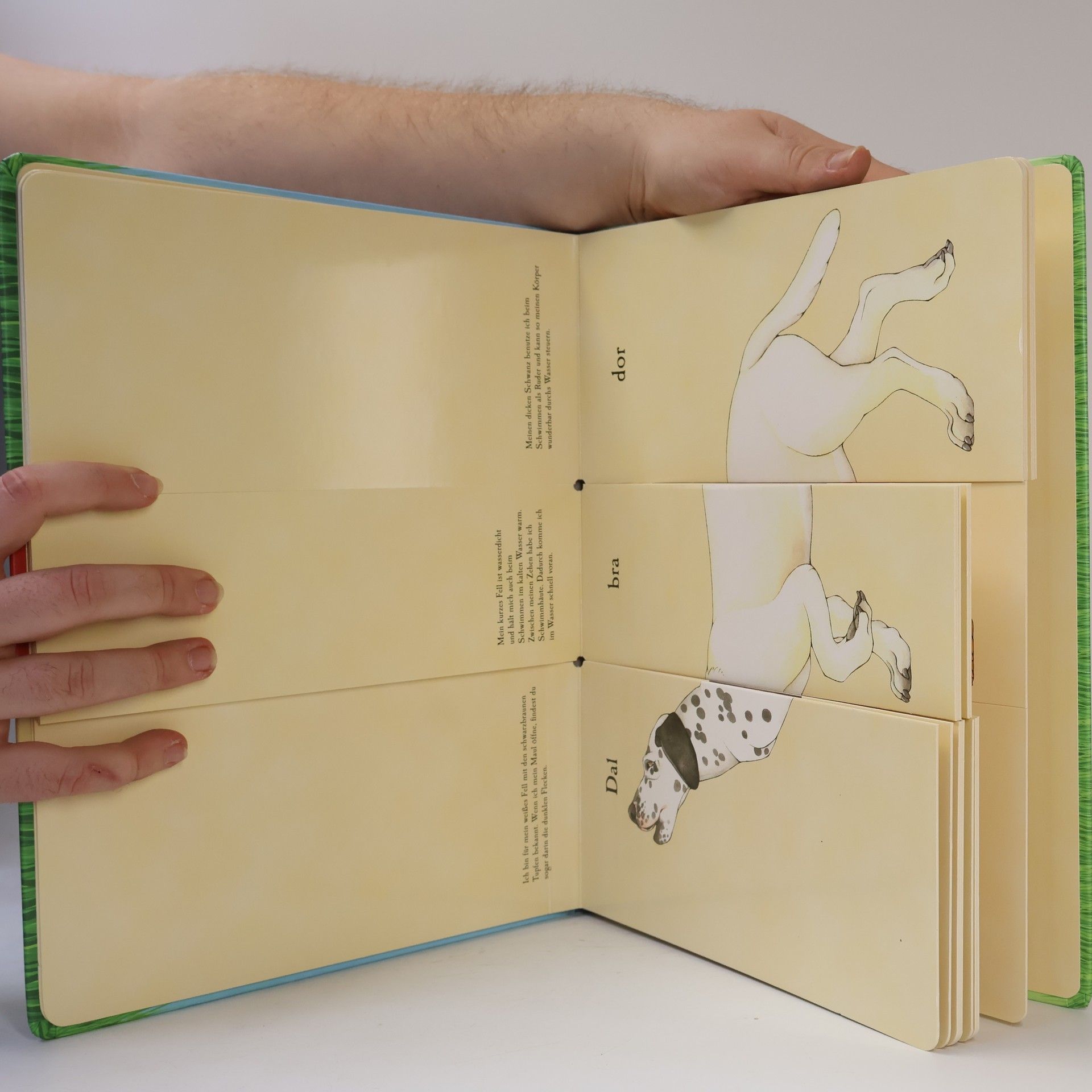 Sara Ball Das verrückte Hunde-Klappbuch