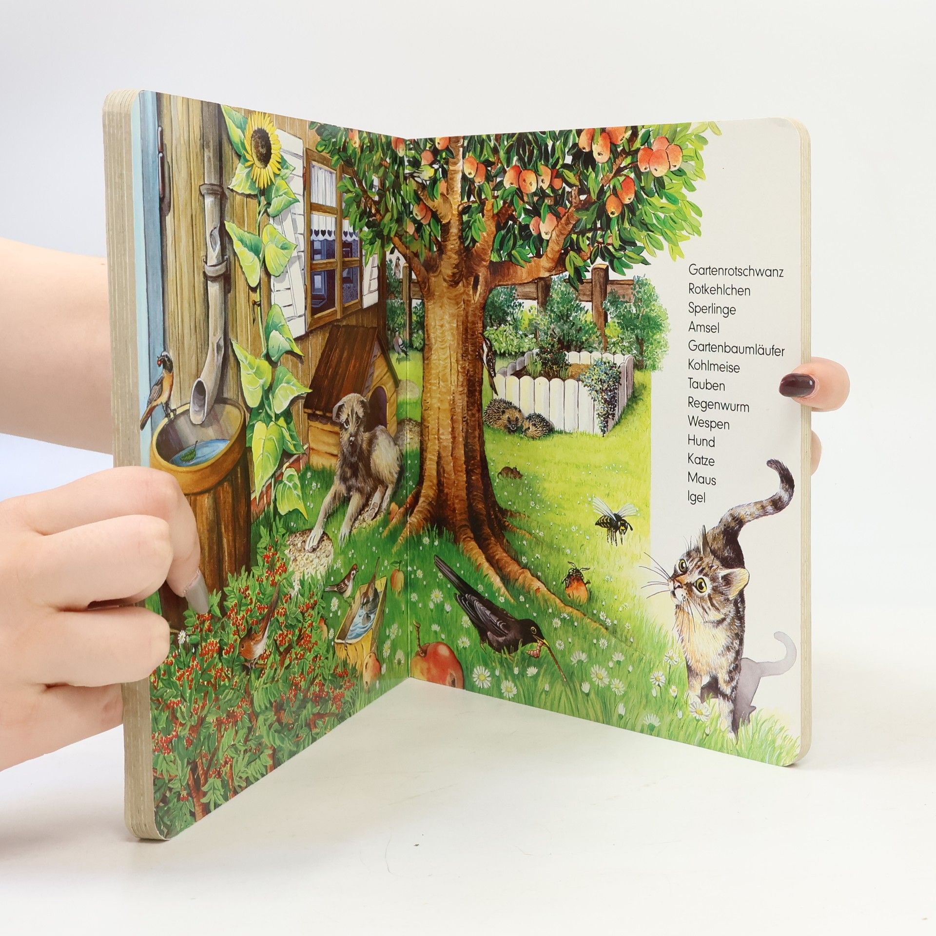 Kristina Steffens Welche Tiere kennst du schon?
